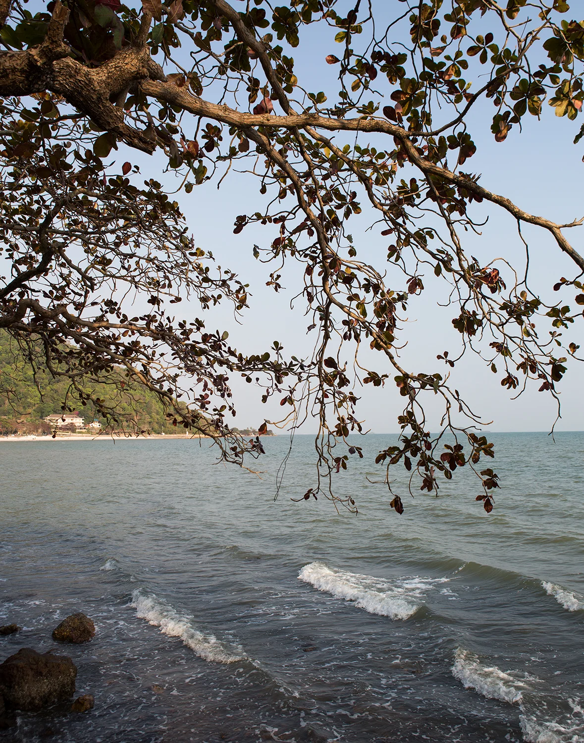 LGarcia_CambodiaKep_0539.jpg