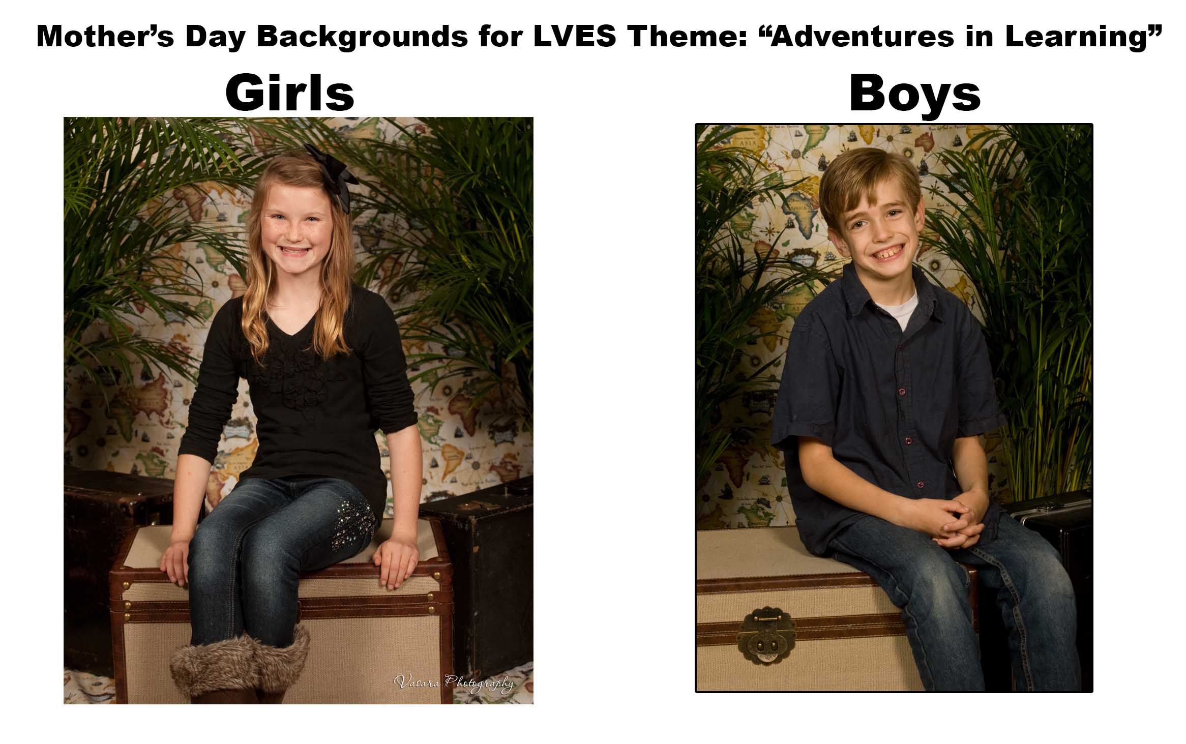 Here are the background for LVES Mother's Day Picture Day.