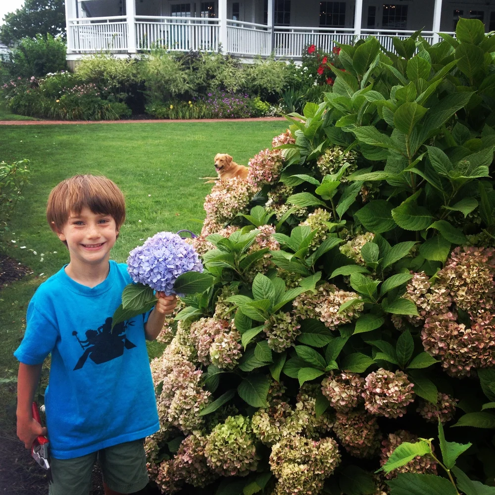 Garden Angels