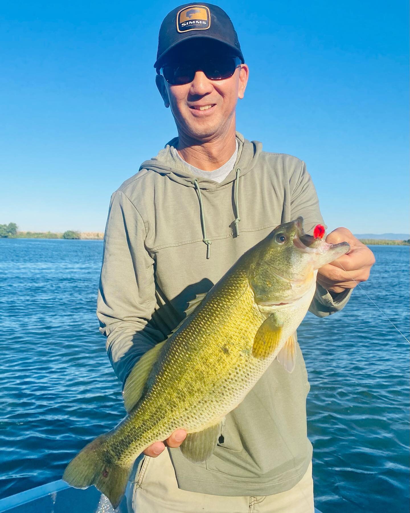 Topwater Largemouth Hunt Paying Off! @redingtongear @rioproducts @costasunglasses @simmsfishing @calbassunion @fishcalifornia @galvanflyreels @grundens @deltabassbugs