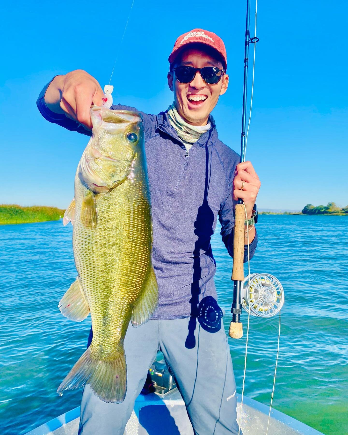 Topwater River monster on the CA Delta! Epic eat &amp; ensuing battle, fun all around! @leehaskin48 Gurgler was on fire today! 🔥 @redingtongear @rioproducts @costasunglasses @simmsfishing @calbassunion #seewhatsoutthere @galvanflyreels