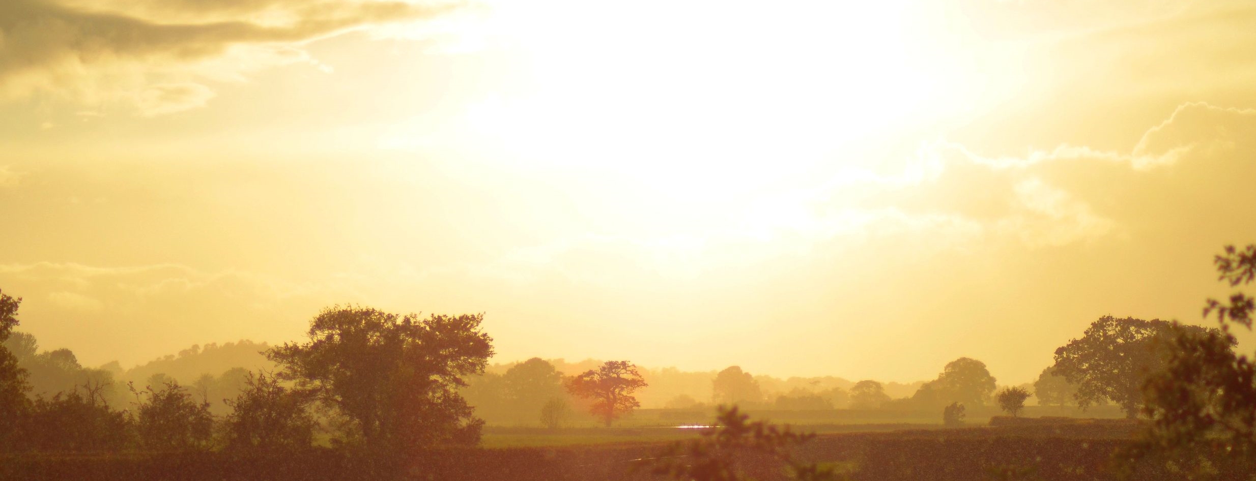 Sun and evening rain