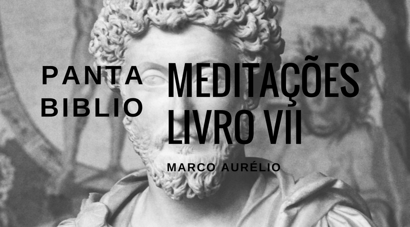 pantabibliomarcovii.png