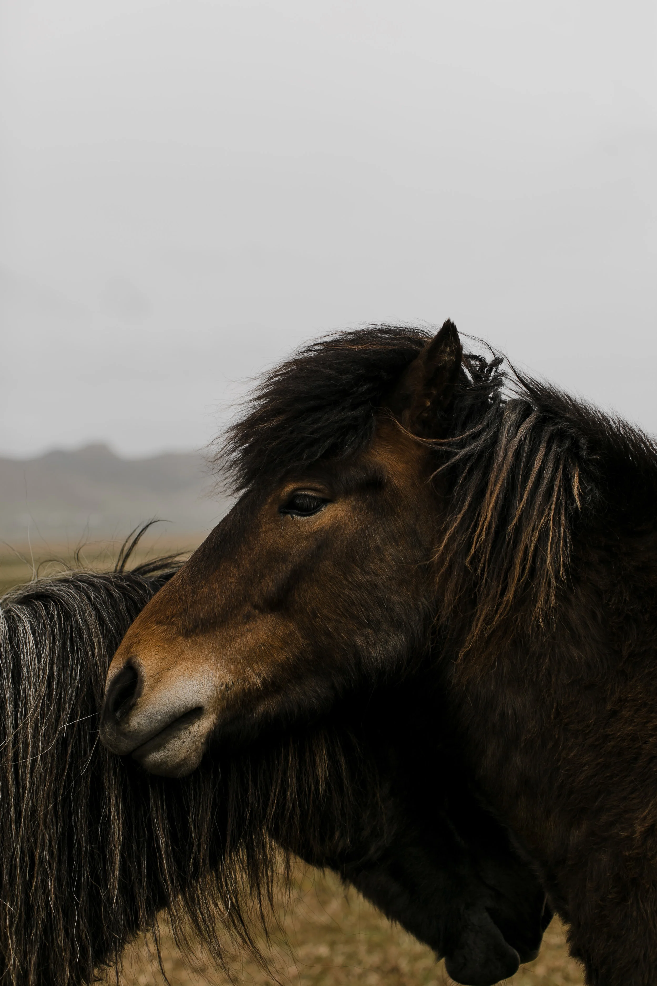 IcelandWeddingPhotosElopementBlogPost-184.jpg