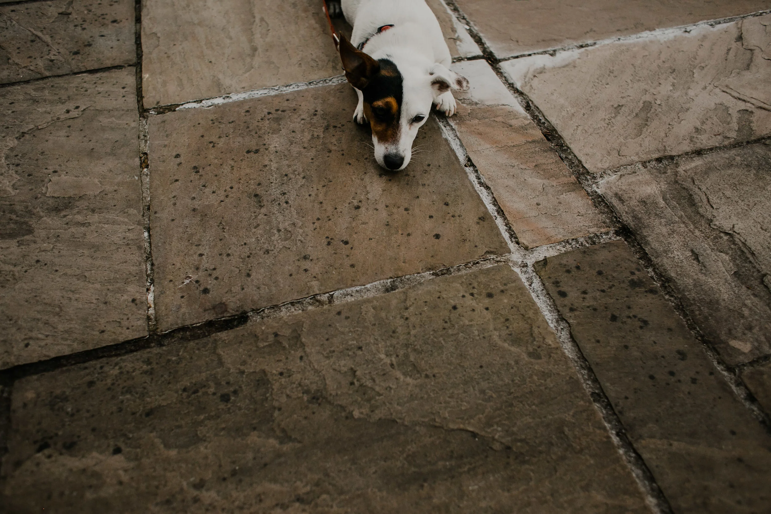 LochLomondWeddingBlogPostextra1-8.jpg