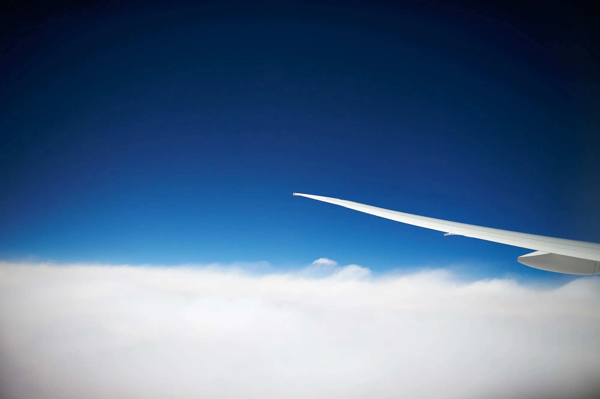 25_flight_AC8P0920.jpg