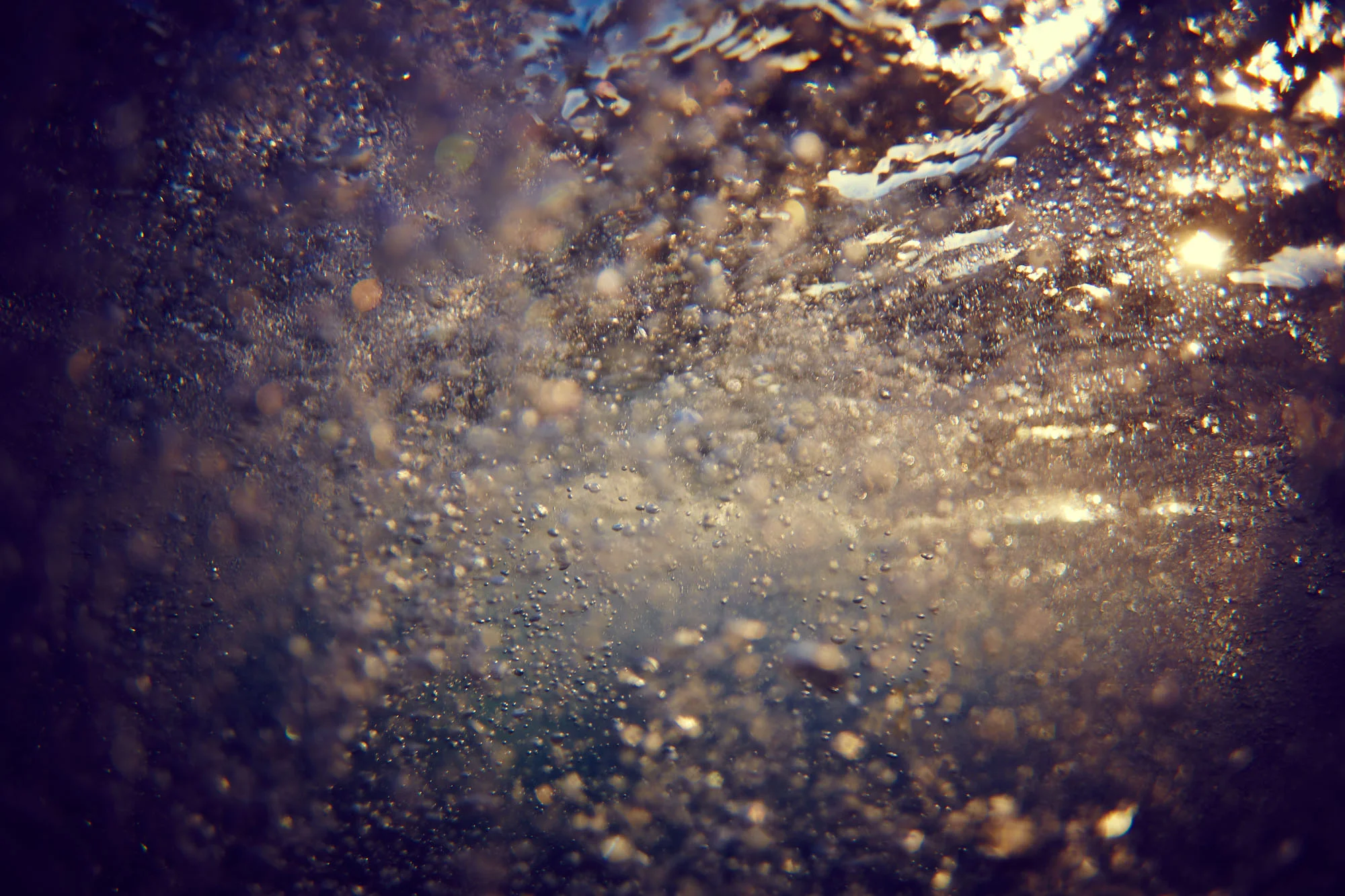 26_0Y4A2924.jpg
