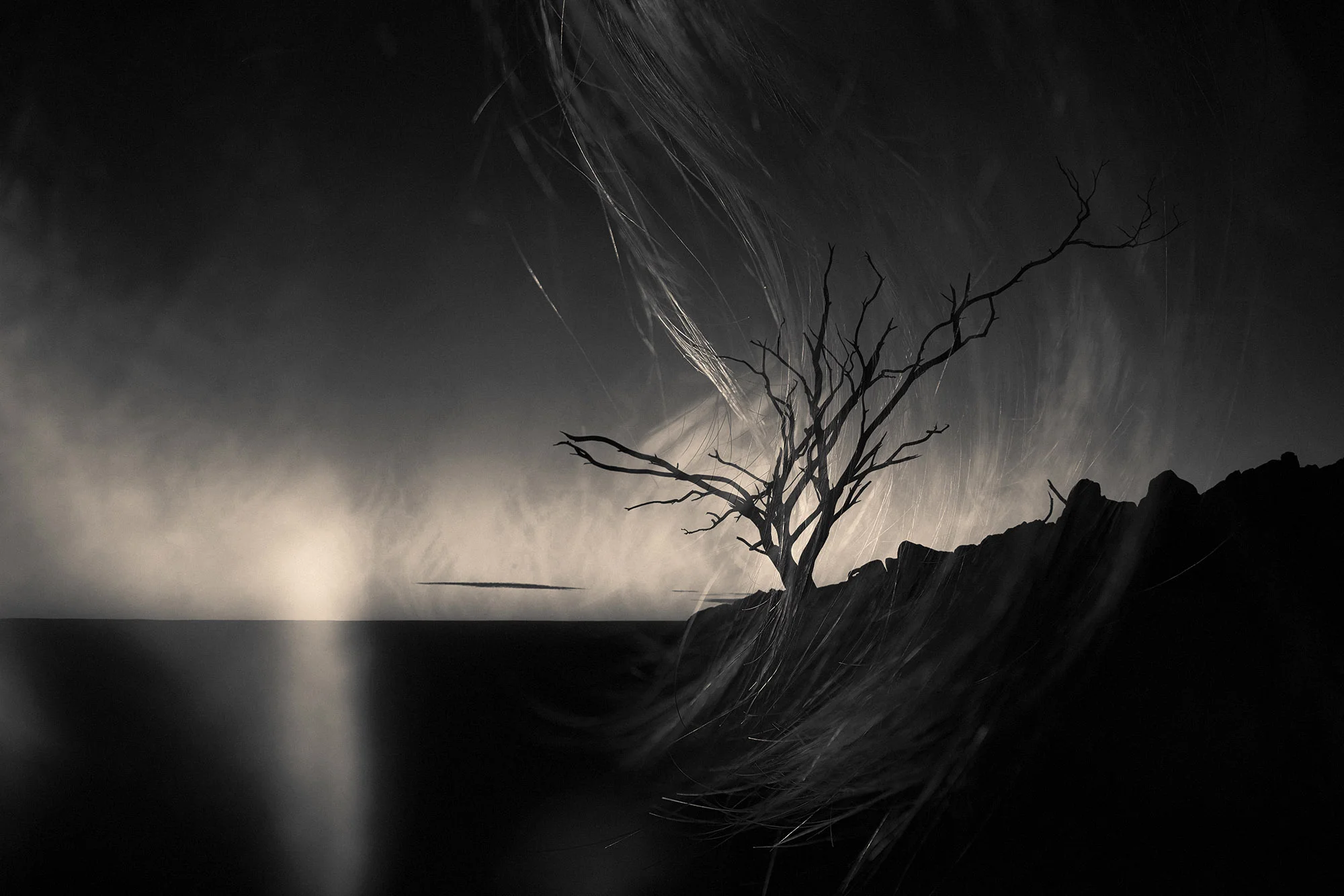 The blending of two images, a bare tree on a hill with a woman.