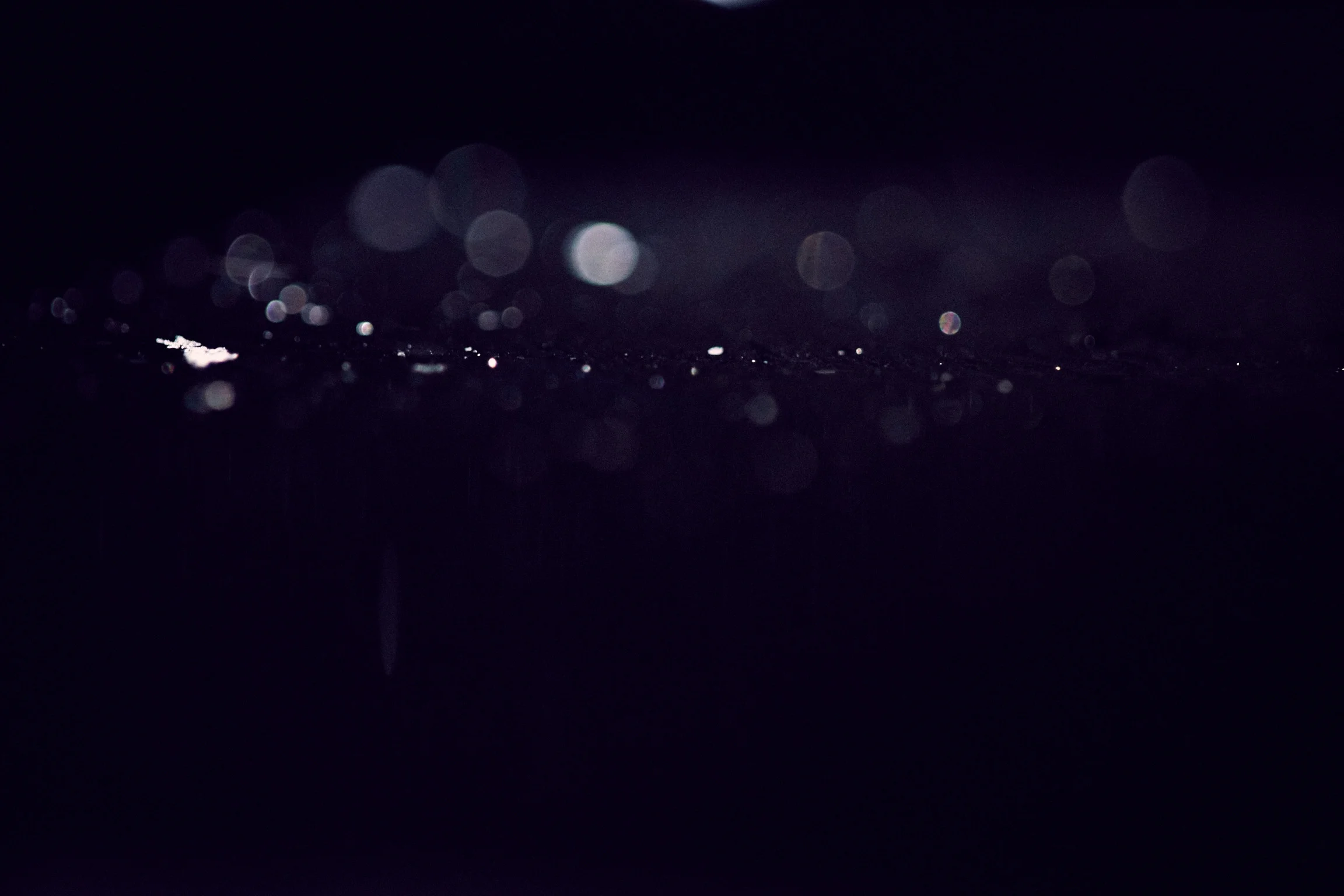 2015_09_AC8P0591.jpg