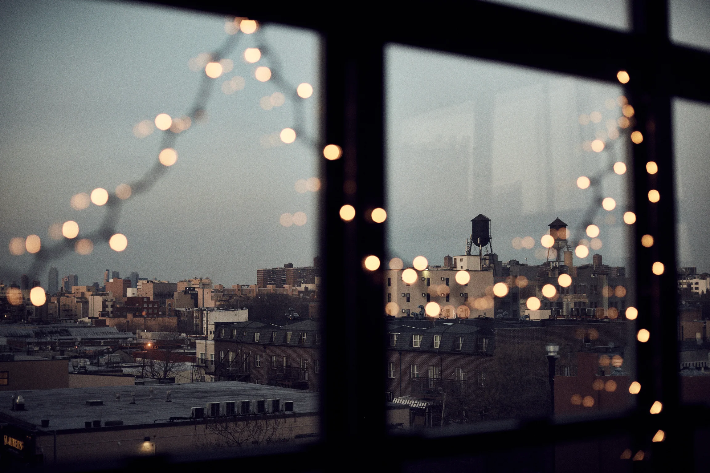 5DS_0783.jpg