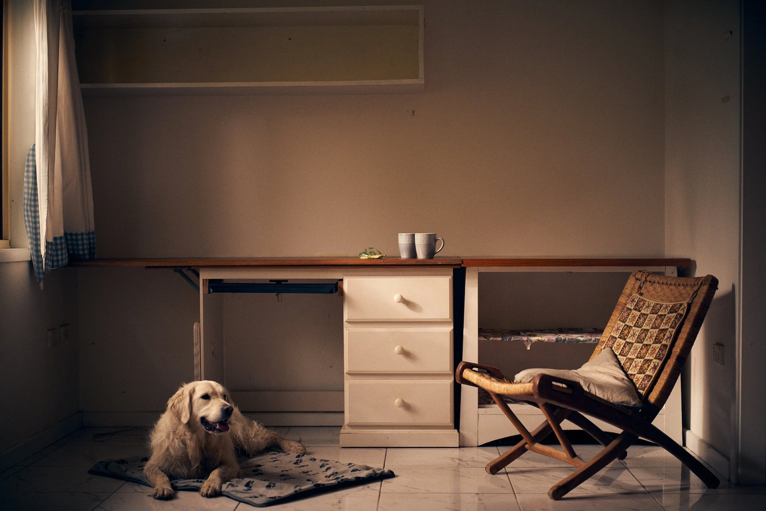 Rituals of Home