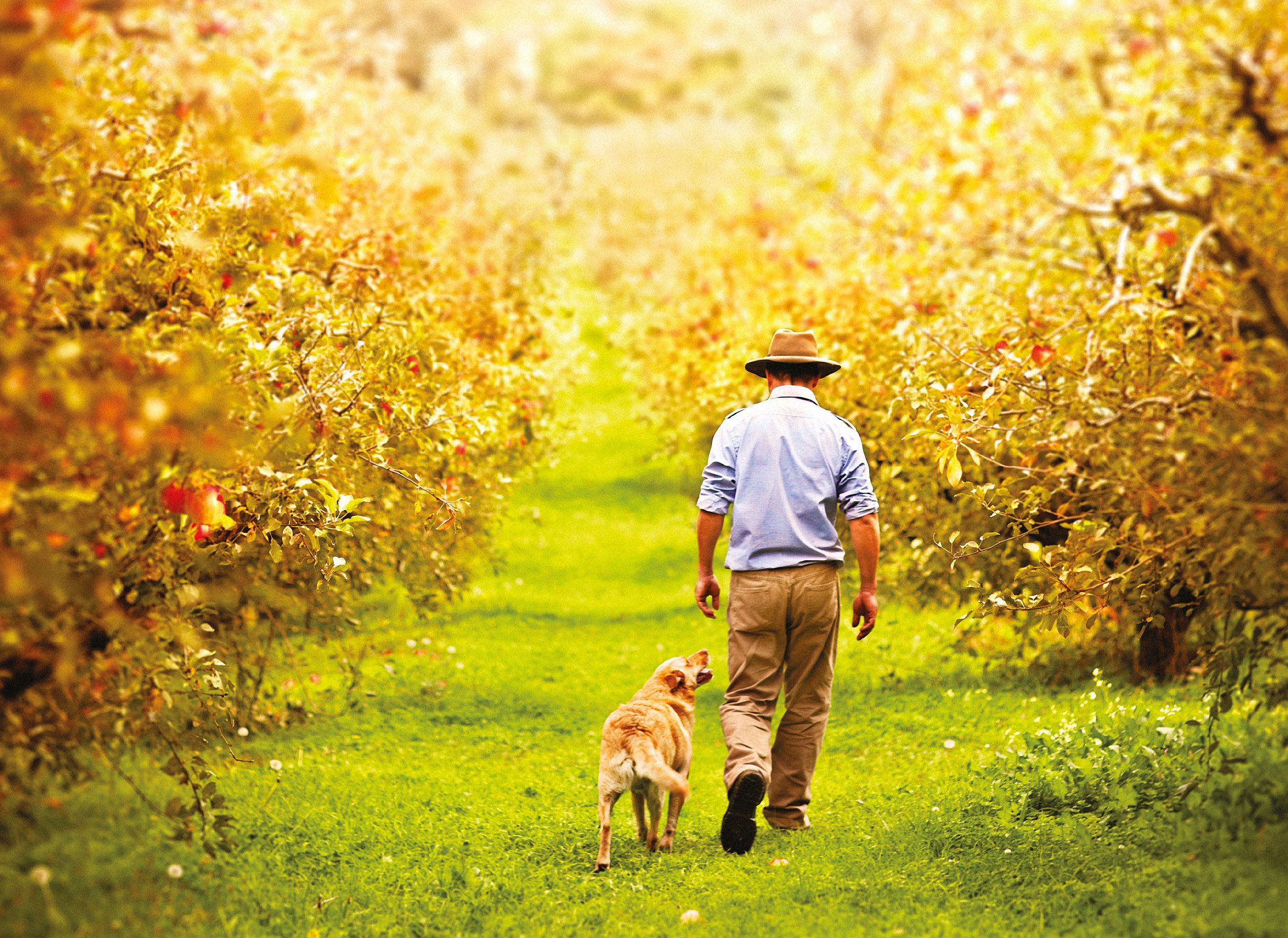 HOR7590-5 A3-DogA3cr.jpg