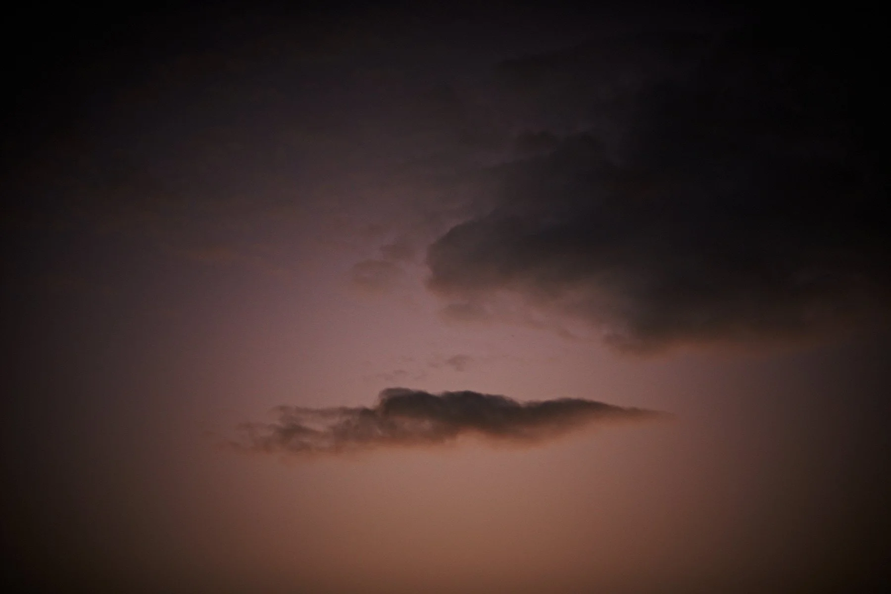 2012 August_AC8P7593.jpg