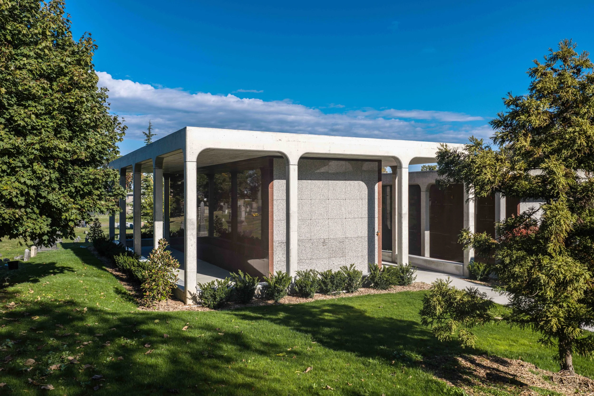 evergreens low res-10.jpg