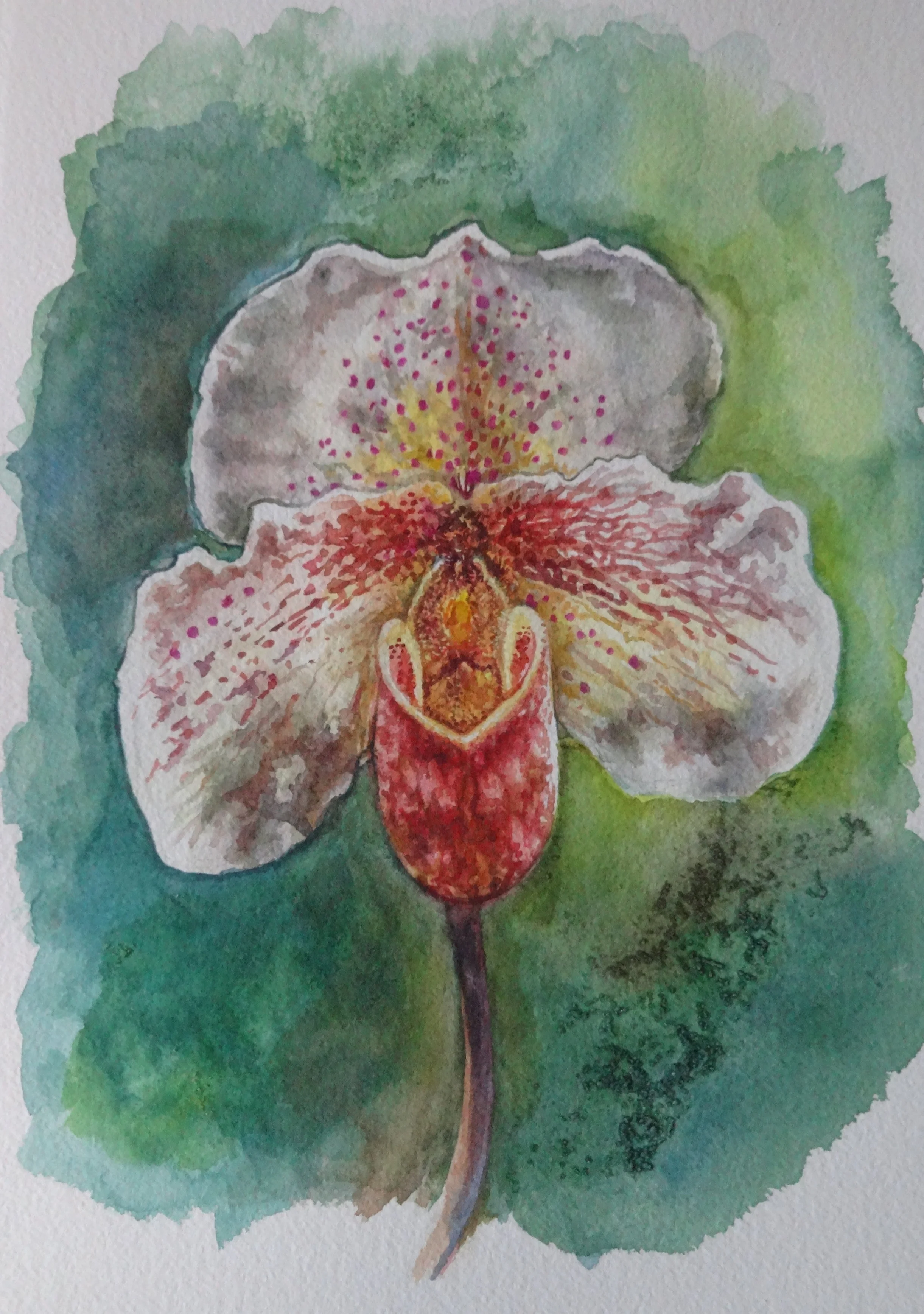  Orchid #1  11"x15" Watercolor on Coldpress  2016 