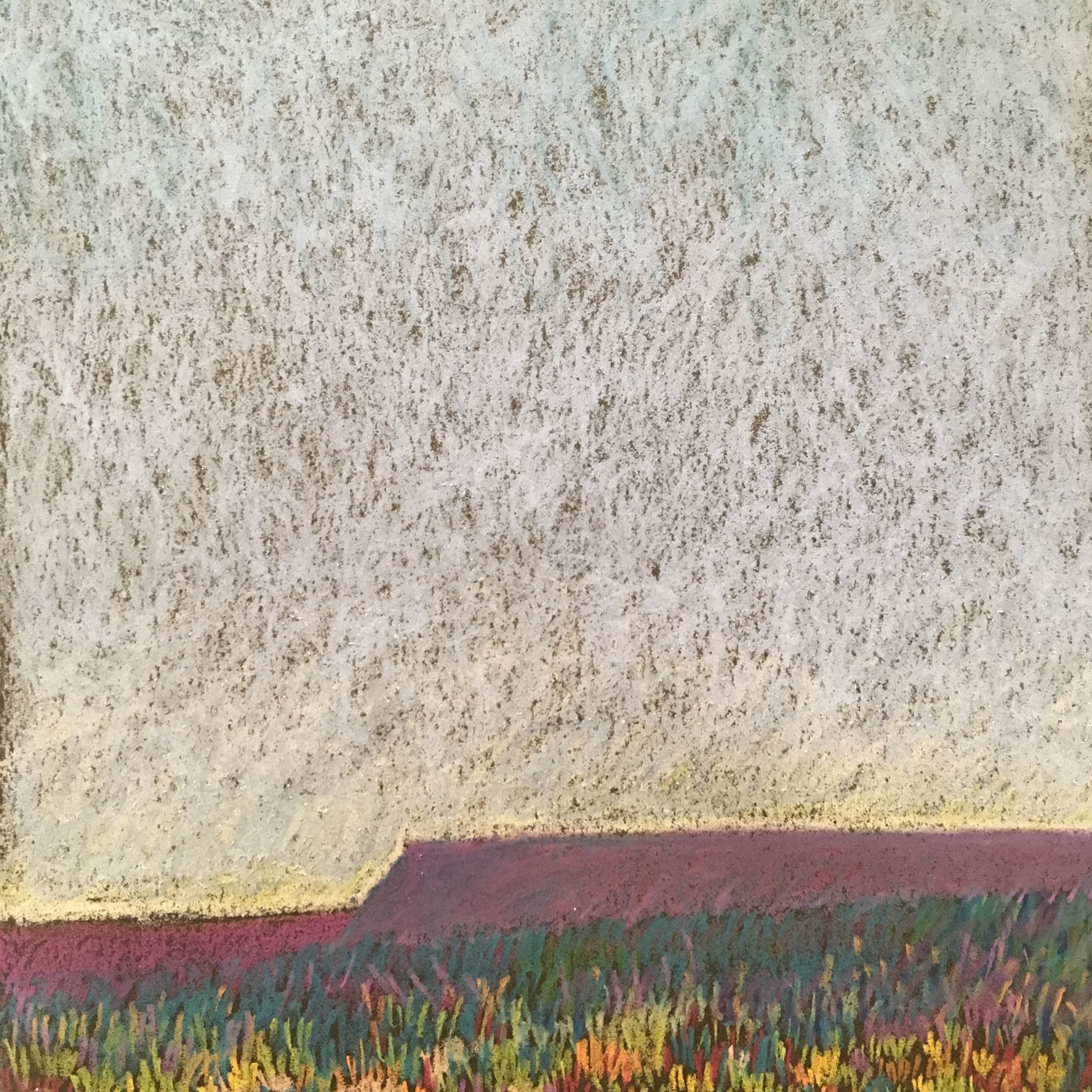 Desert Spring