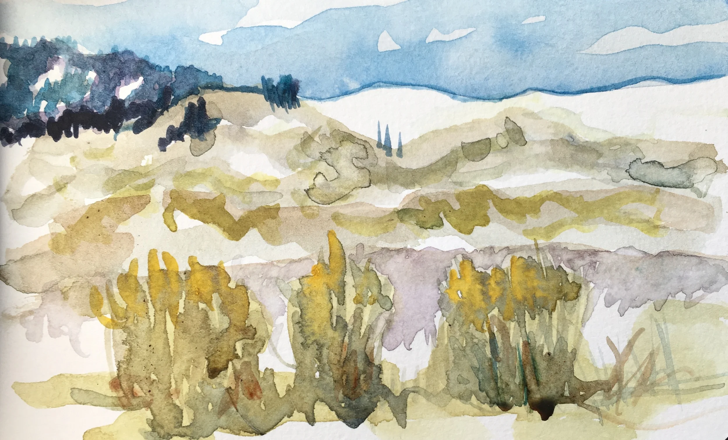 Teton Sage