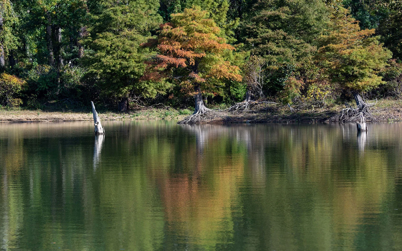 broken-bow-lake-4-seasons-fishing-guide-service_broken-bow-lake.jpg