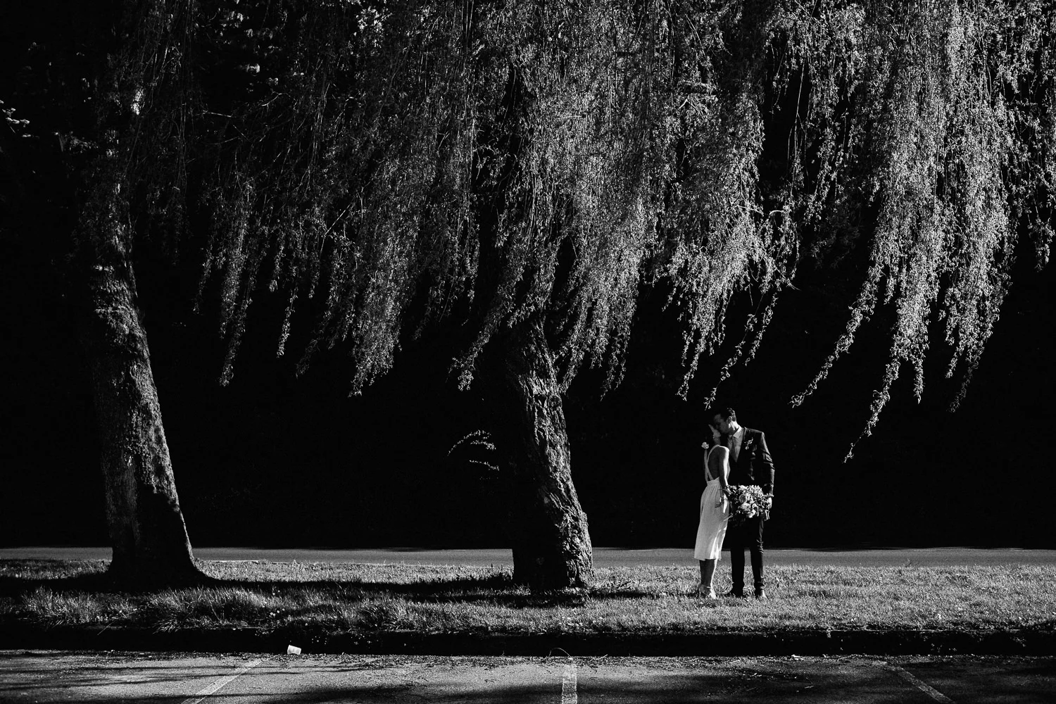 bride and groom under a large wheeping willow
