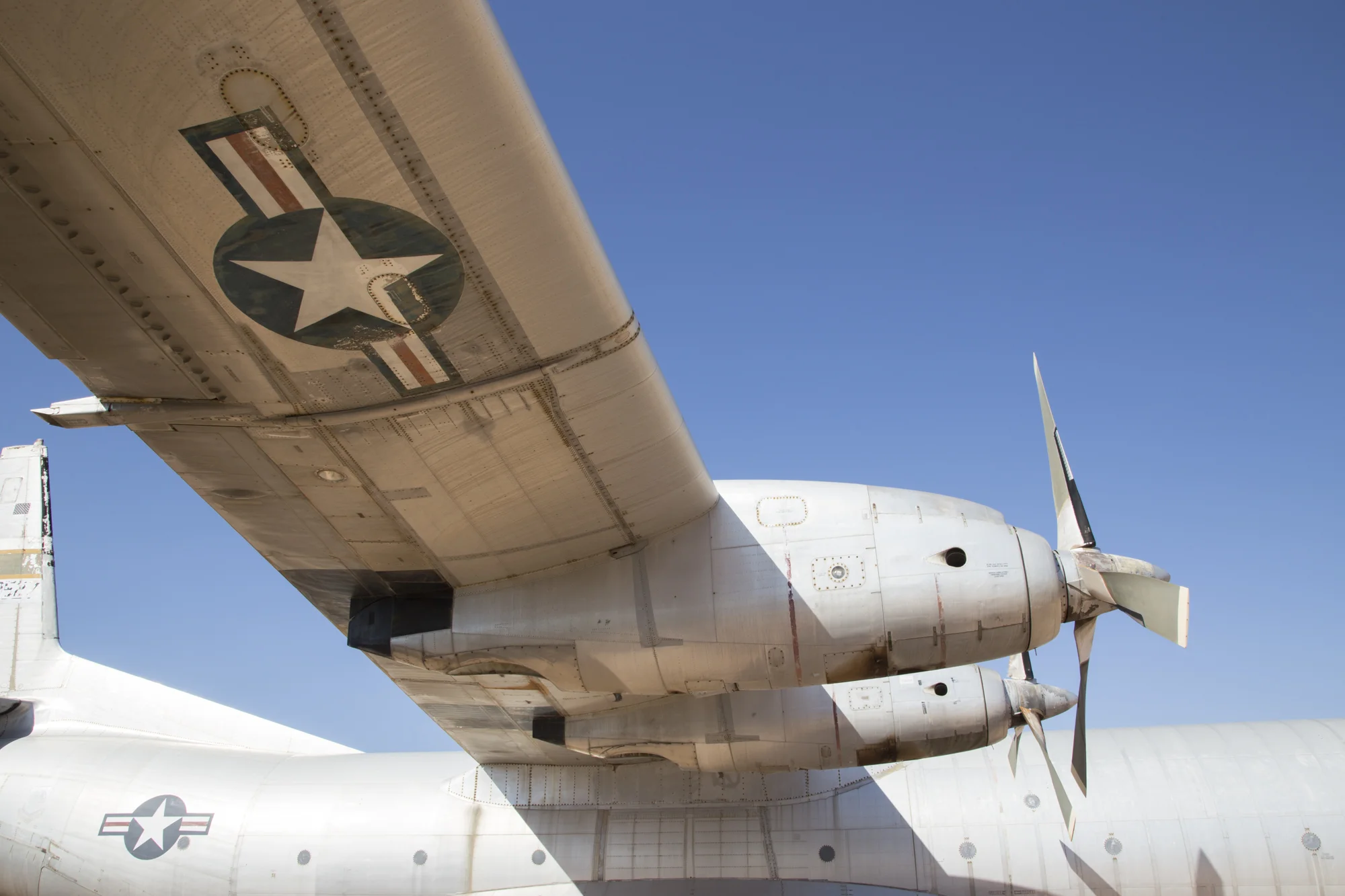 nofs_boneyard-11.jpg