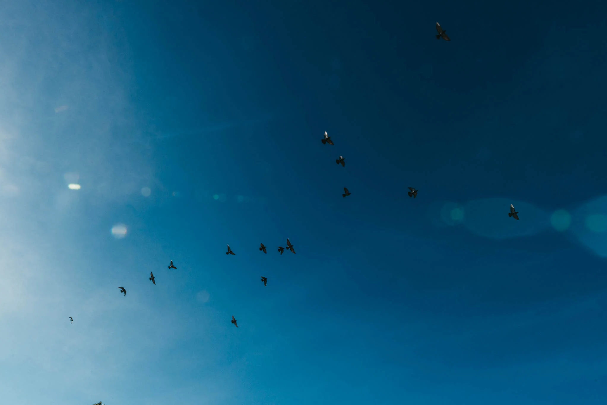 RoadTrip M+A8.jpg