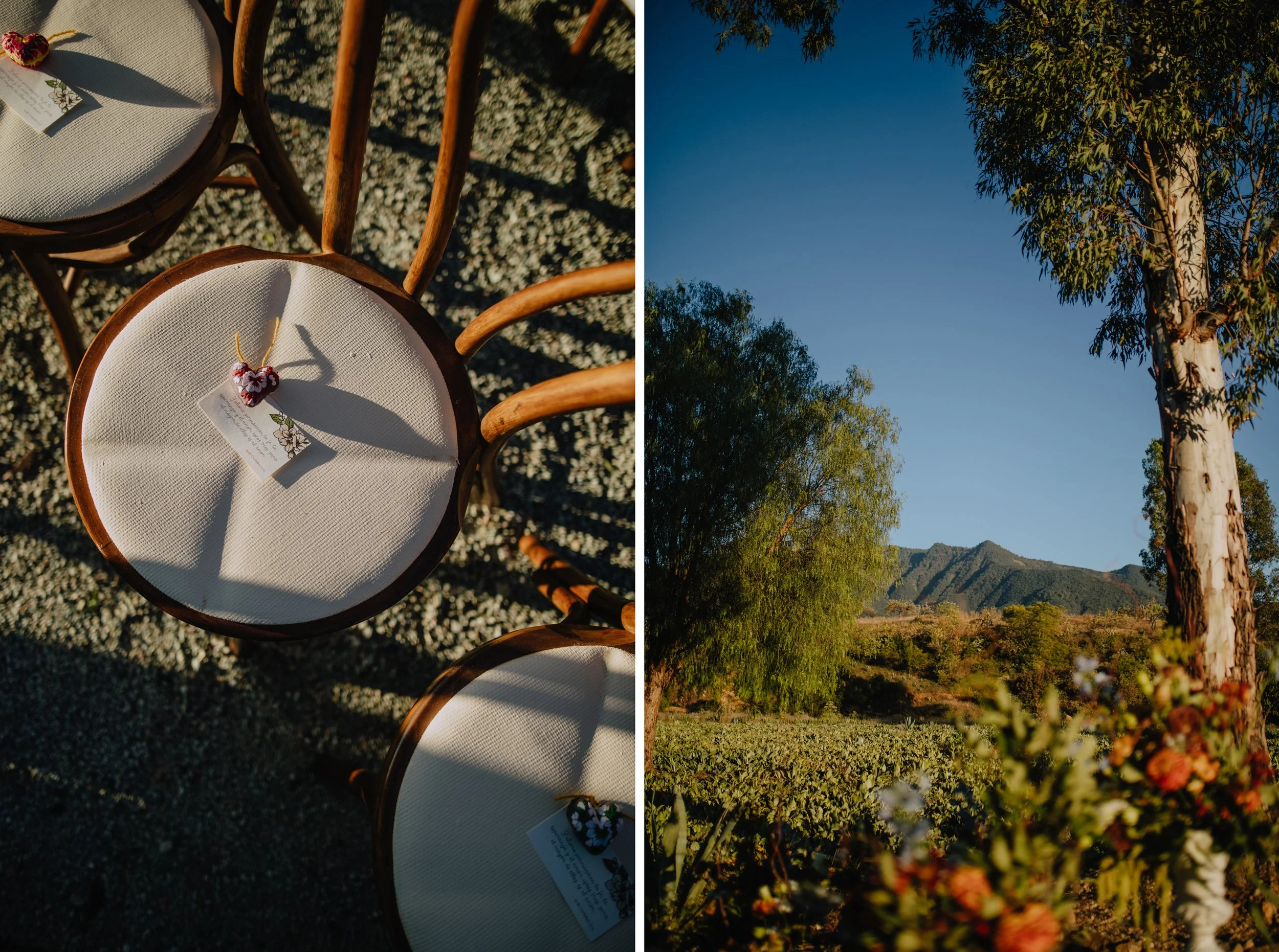 7 Díptico Regular  copia.jpg