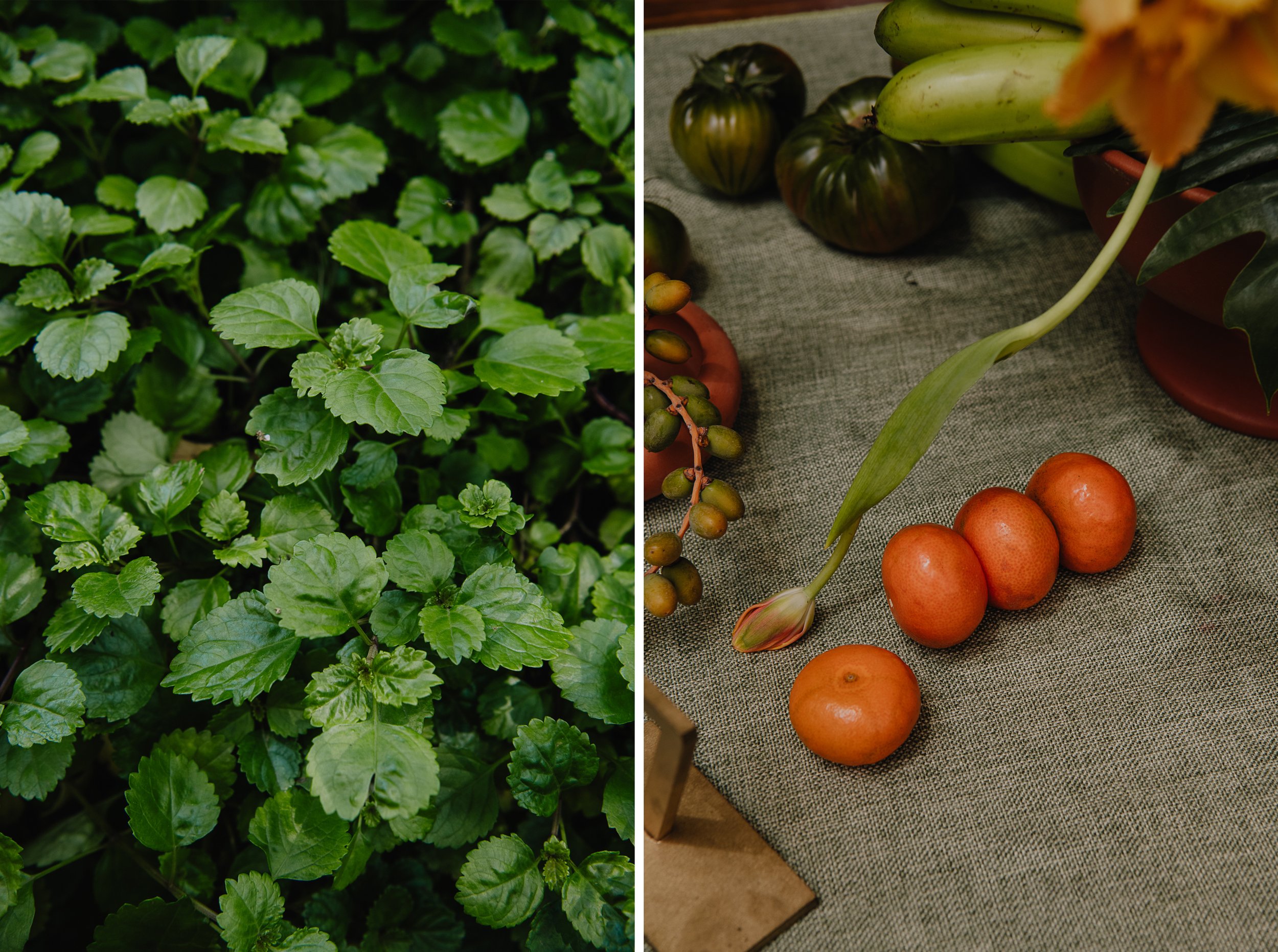 6 Díptico Regular  copia.jpg