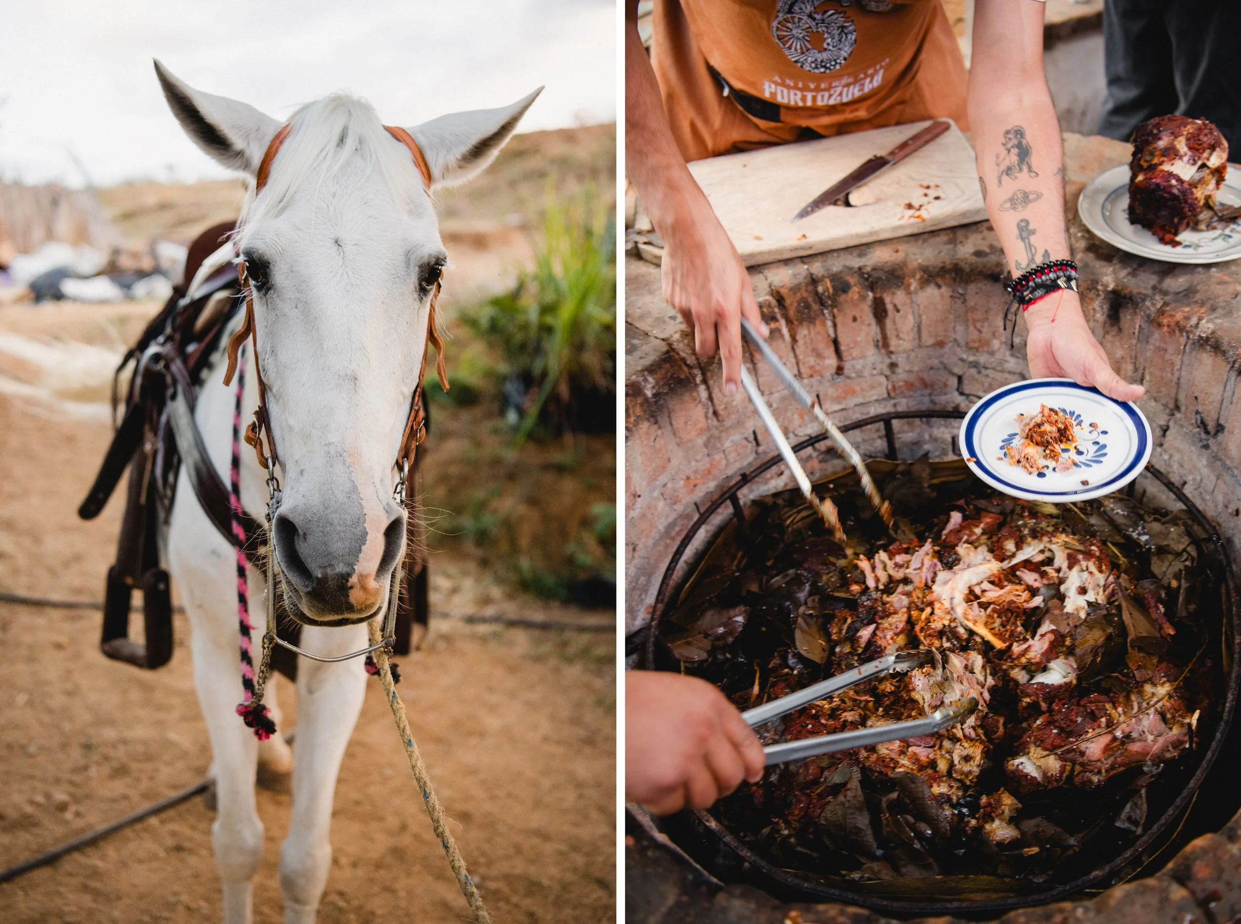 10 Díptico Regular  copia.jpg