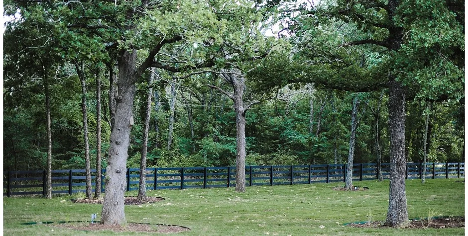 Photo By: The White Sparrow Barn