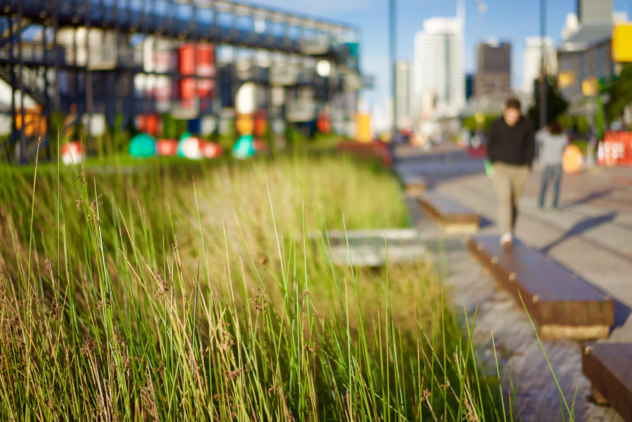 01 Tektus banner.jpg