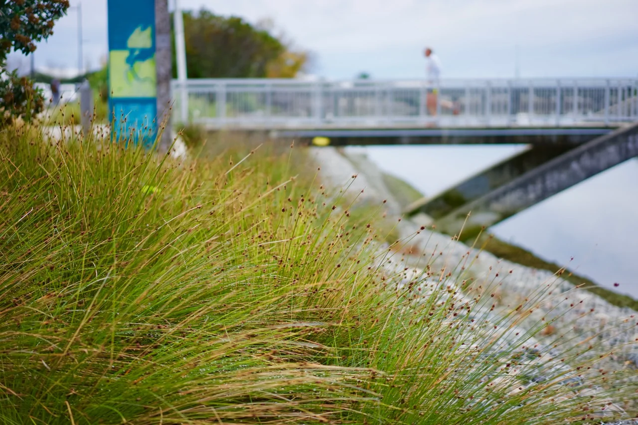 clear values for a sustainable future