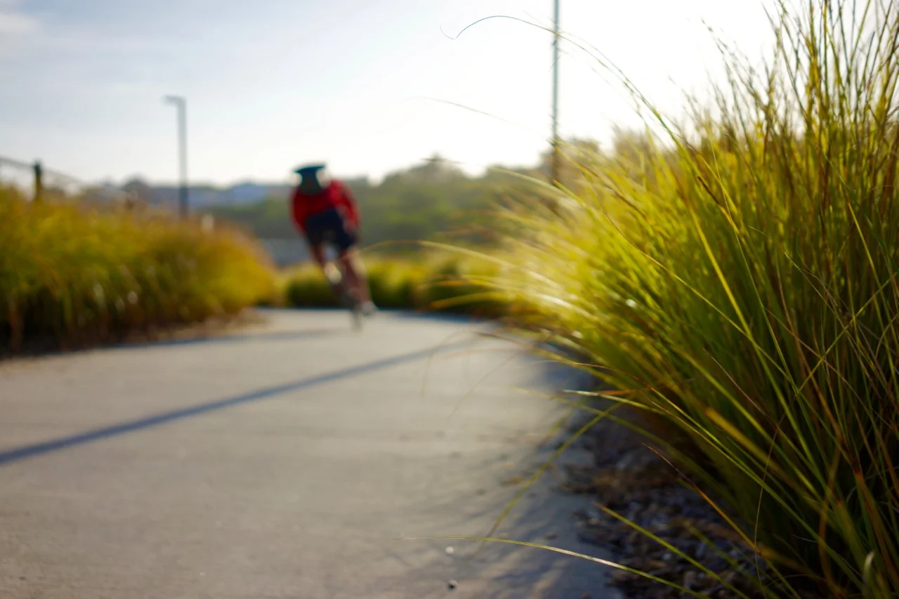 fresh and collaborative solutions