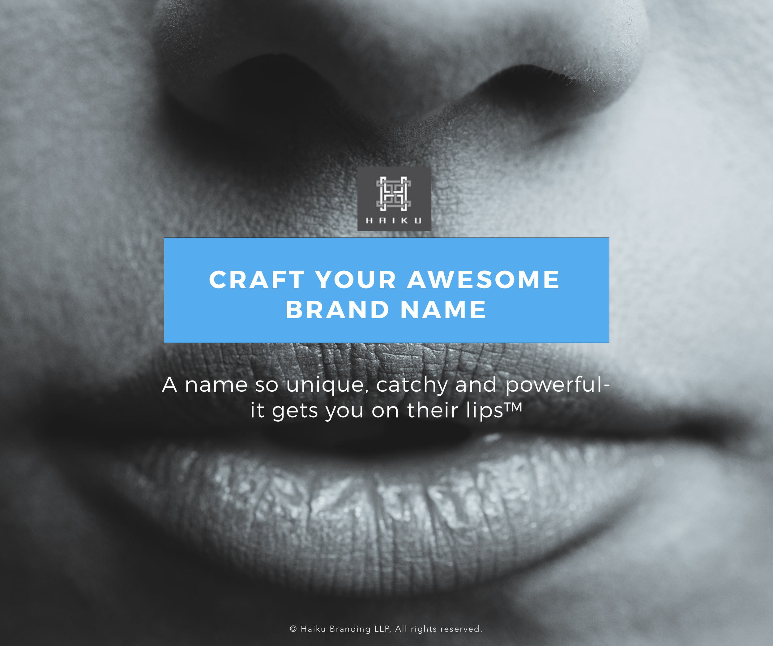 Naming Agency India- Haiku Branding.png