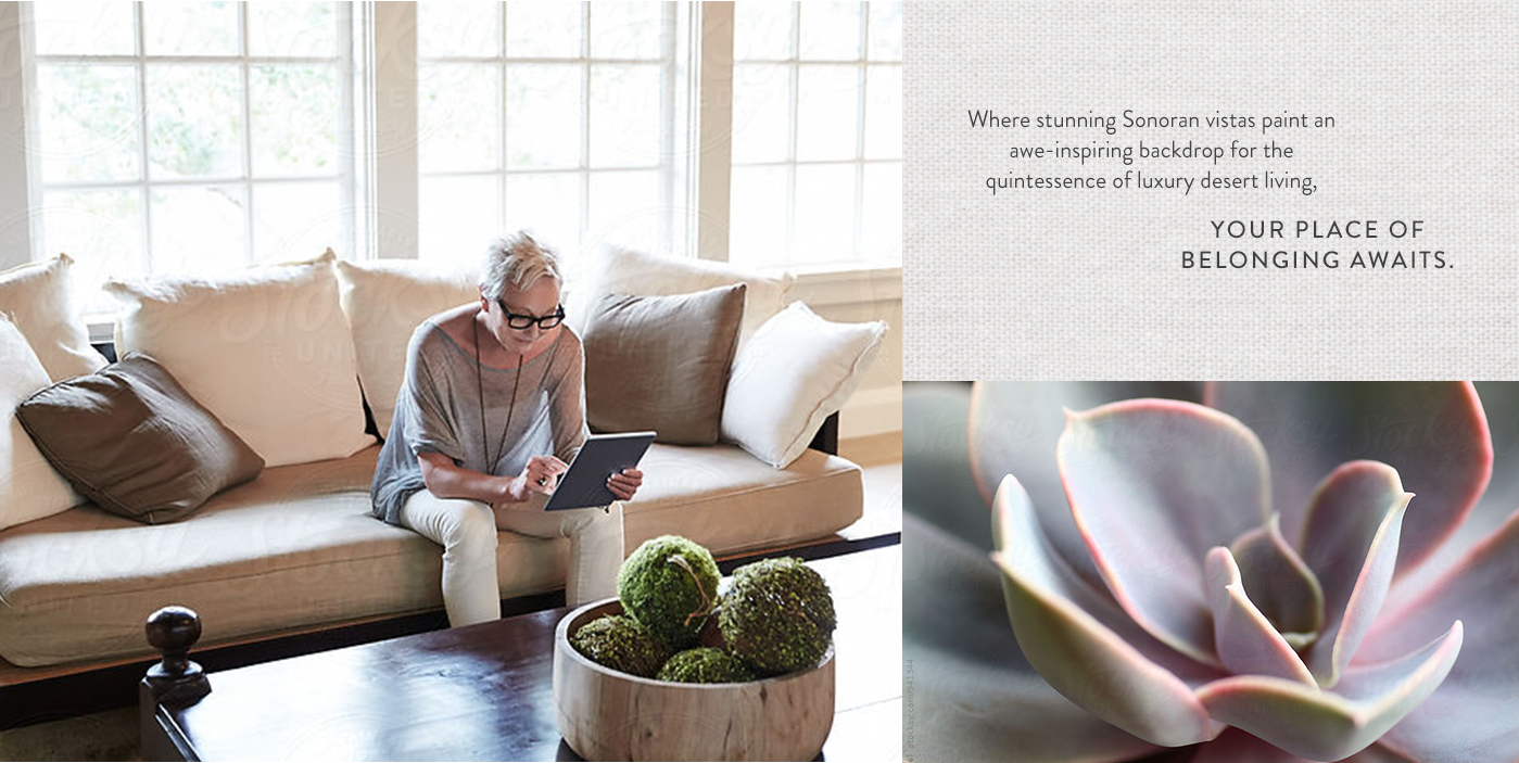 Logo and brochure design by Sonora Leigh Creative Studio 