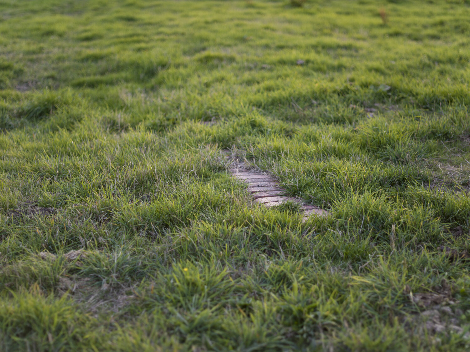 B0008345.jpg