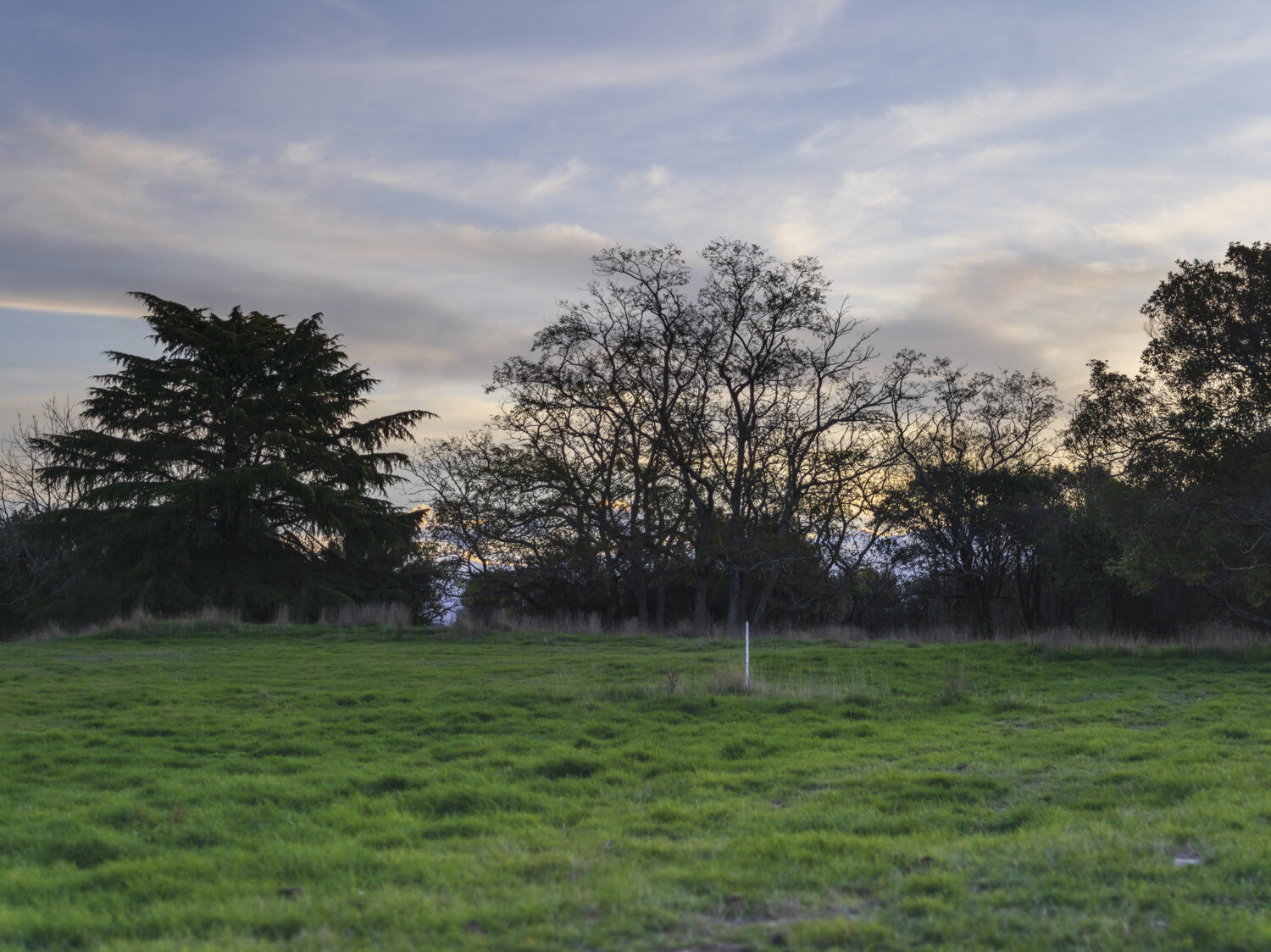 B0008368.jpg