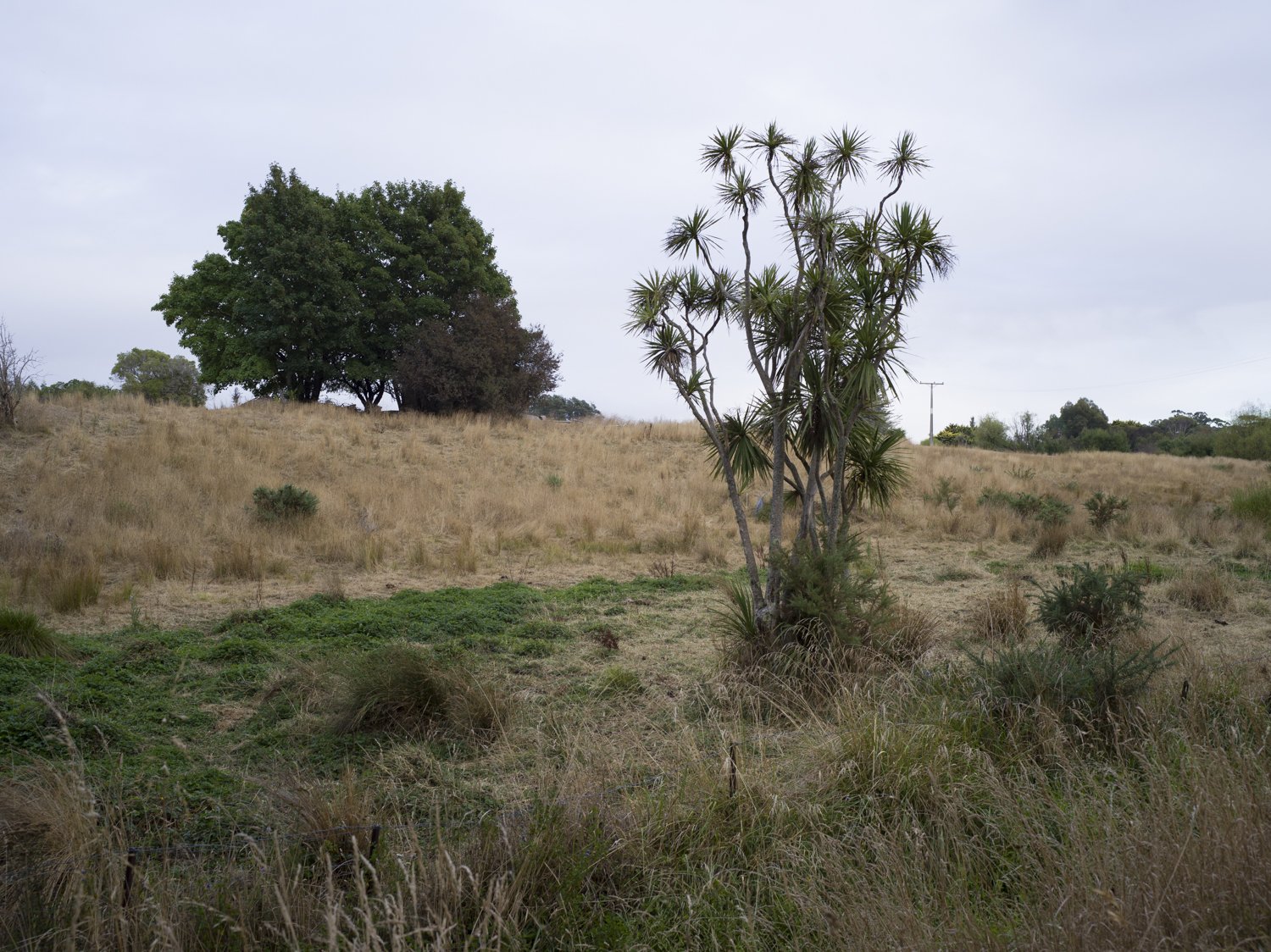 B0008163.jpg