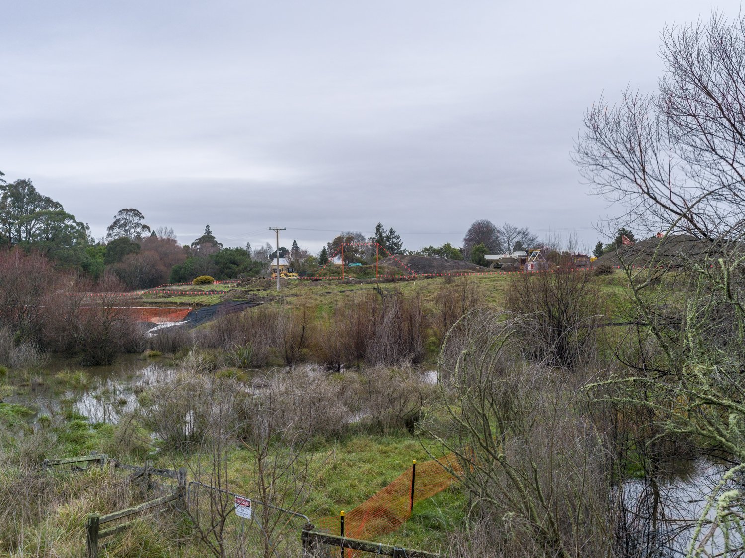 B0011428-2.jpg