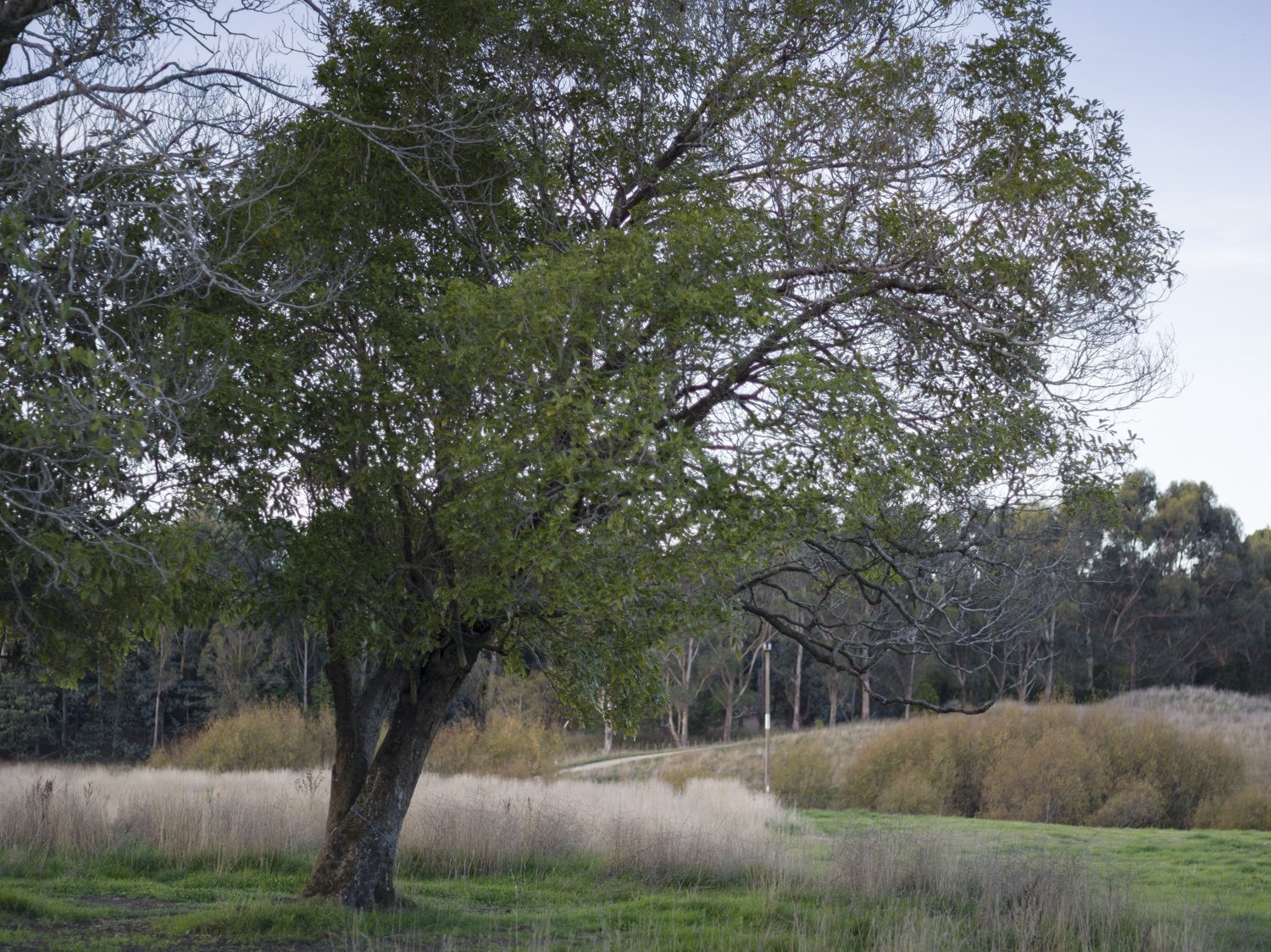 B0008334.jpg