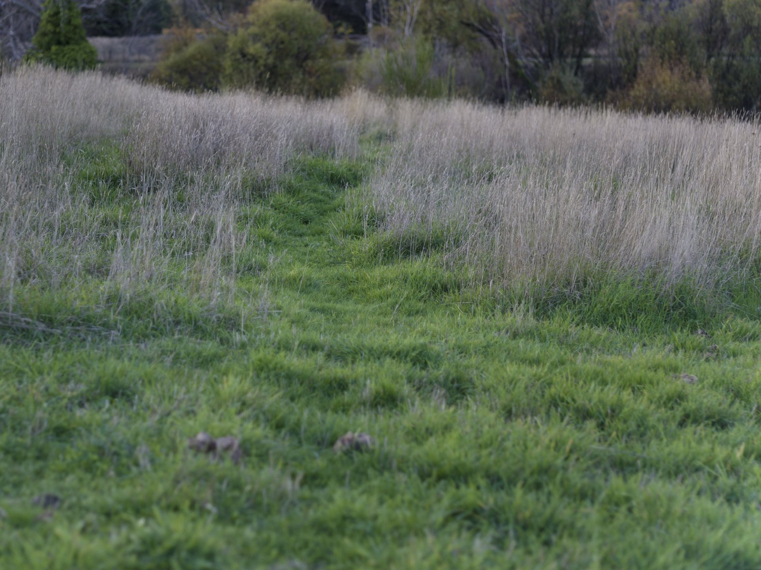 B0008358.jpg