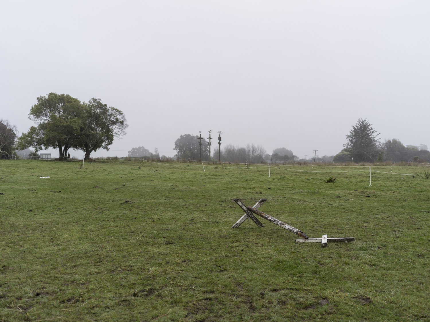 B0008977.jpg