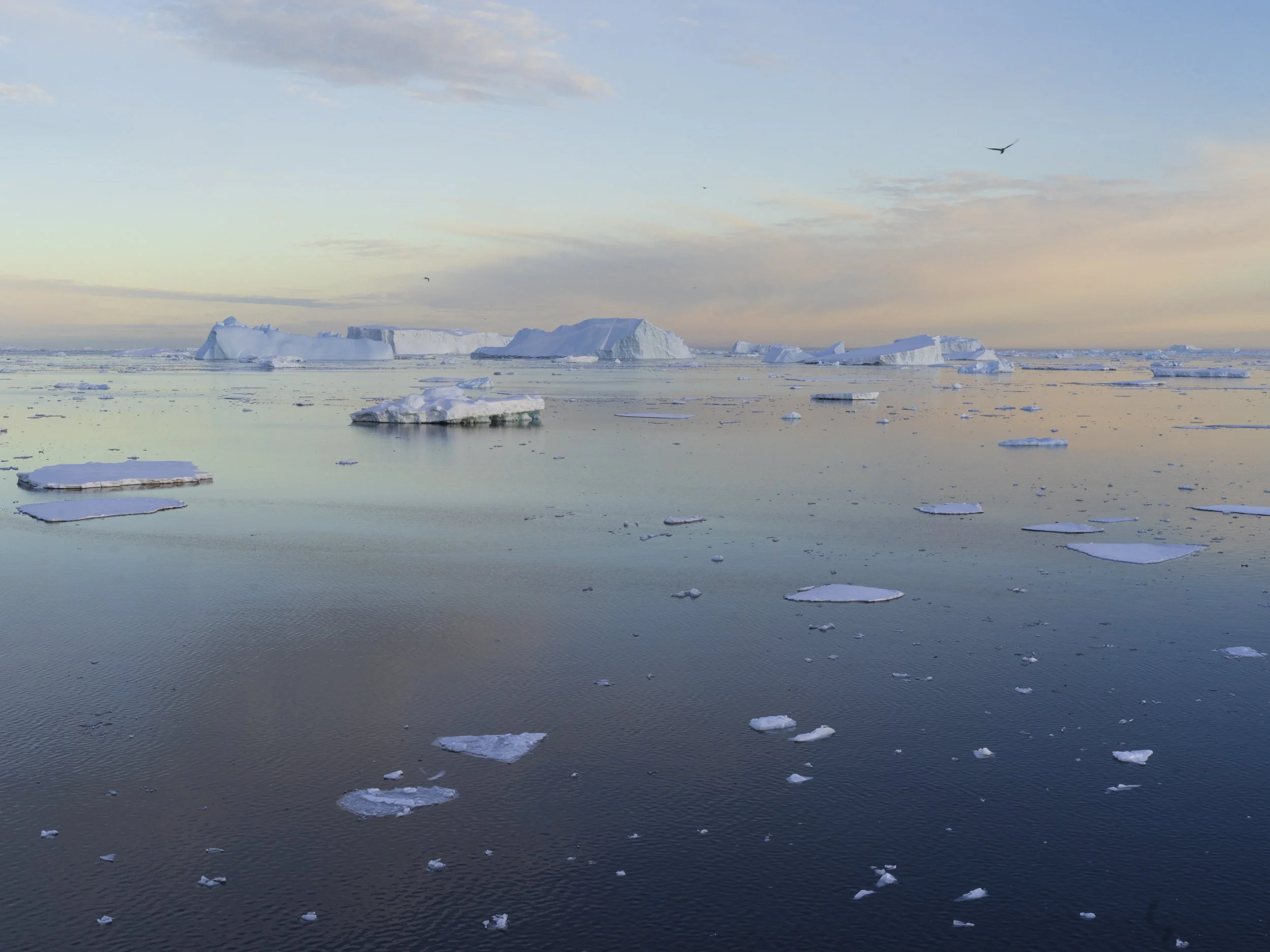Brandon-Antarctica-Ice-1.jpg