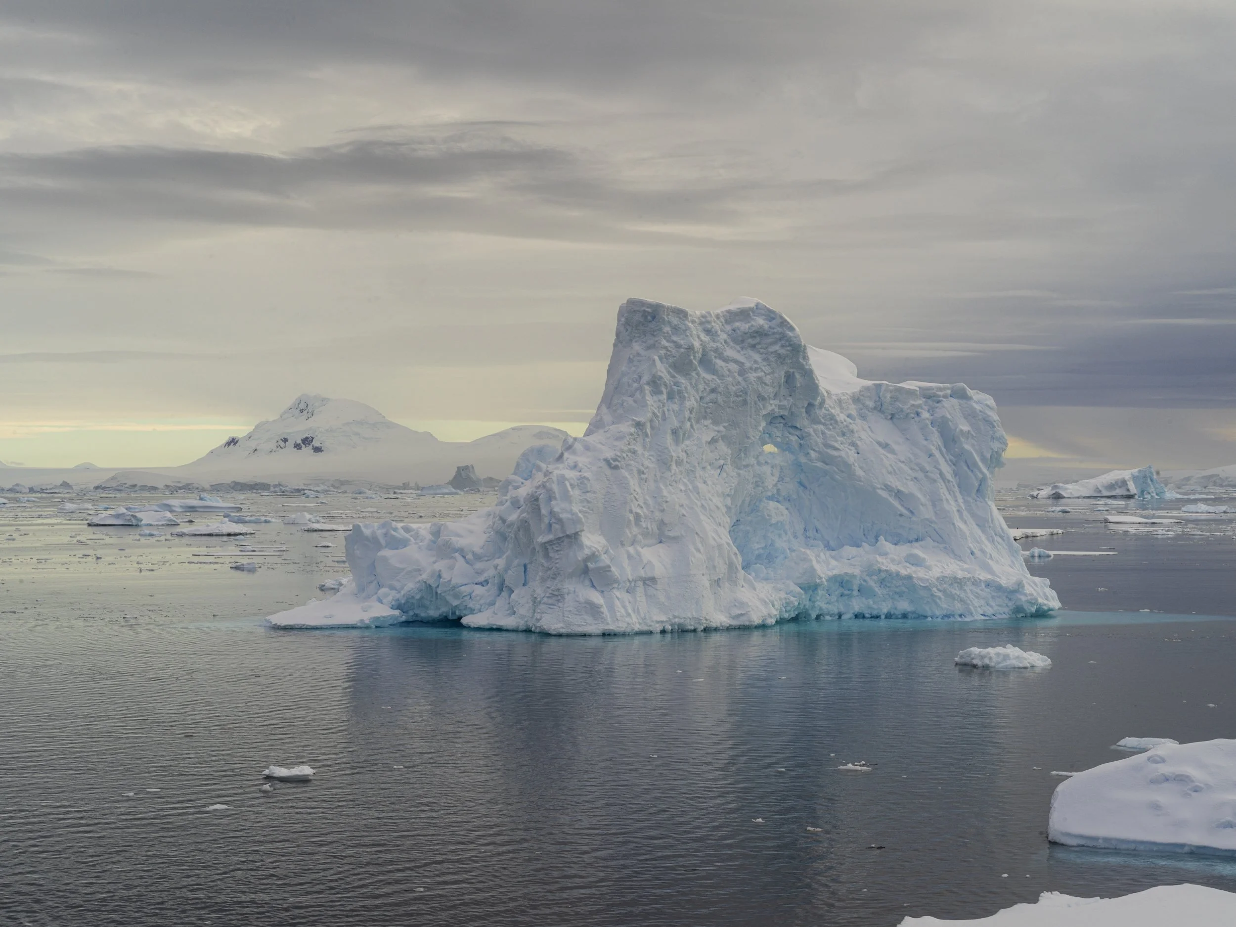 Brandon-Antarctica-Ice-23.jpg