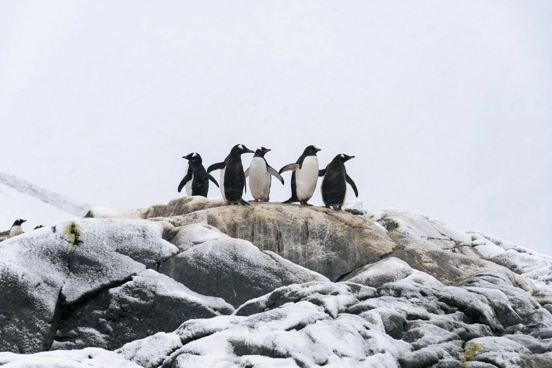 A Sense of Place Set-7.jpg