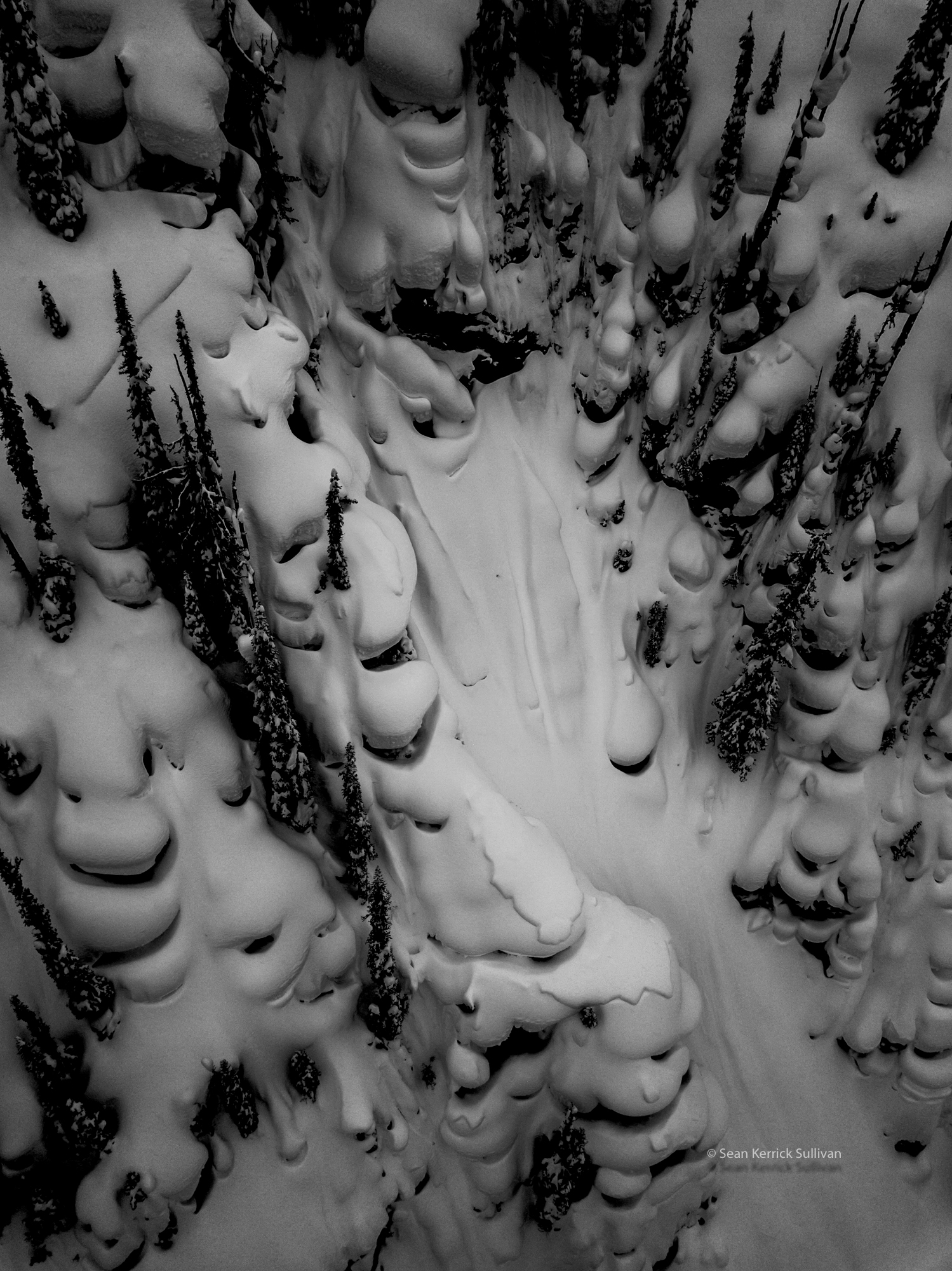 008 - spine of god_.jpg