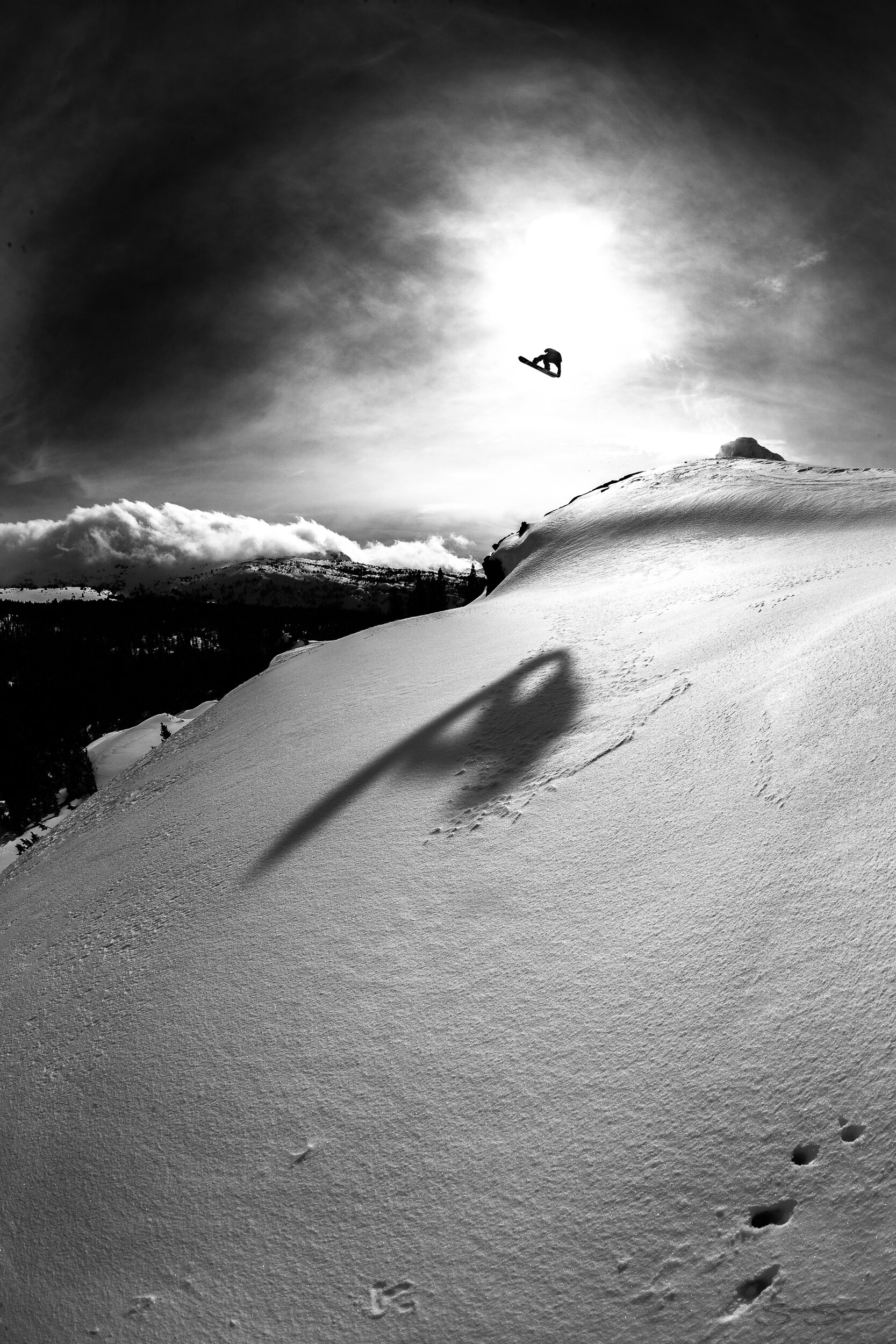 Shadow is my Co-Pilot.  Aspen Rain Weaver, Lake Tahoe, CA.