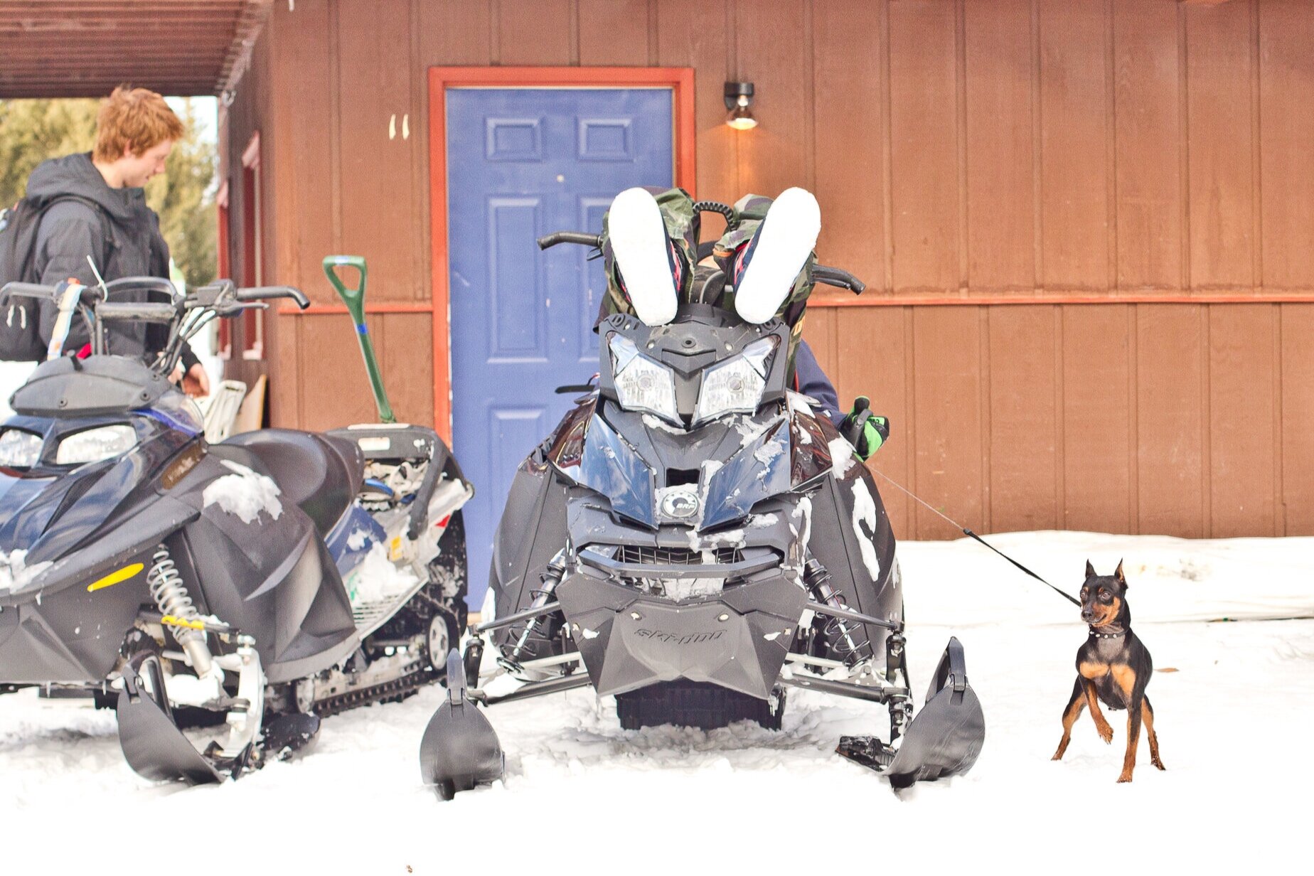 Snowmobile Gang - Cooke City, MT