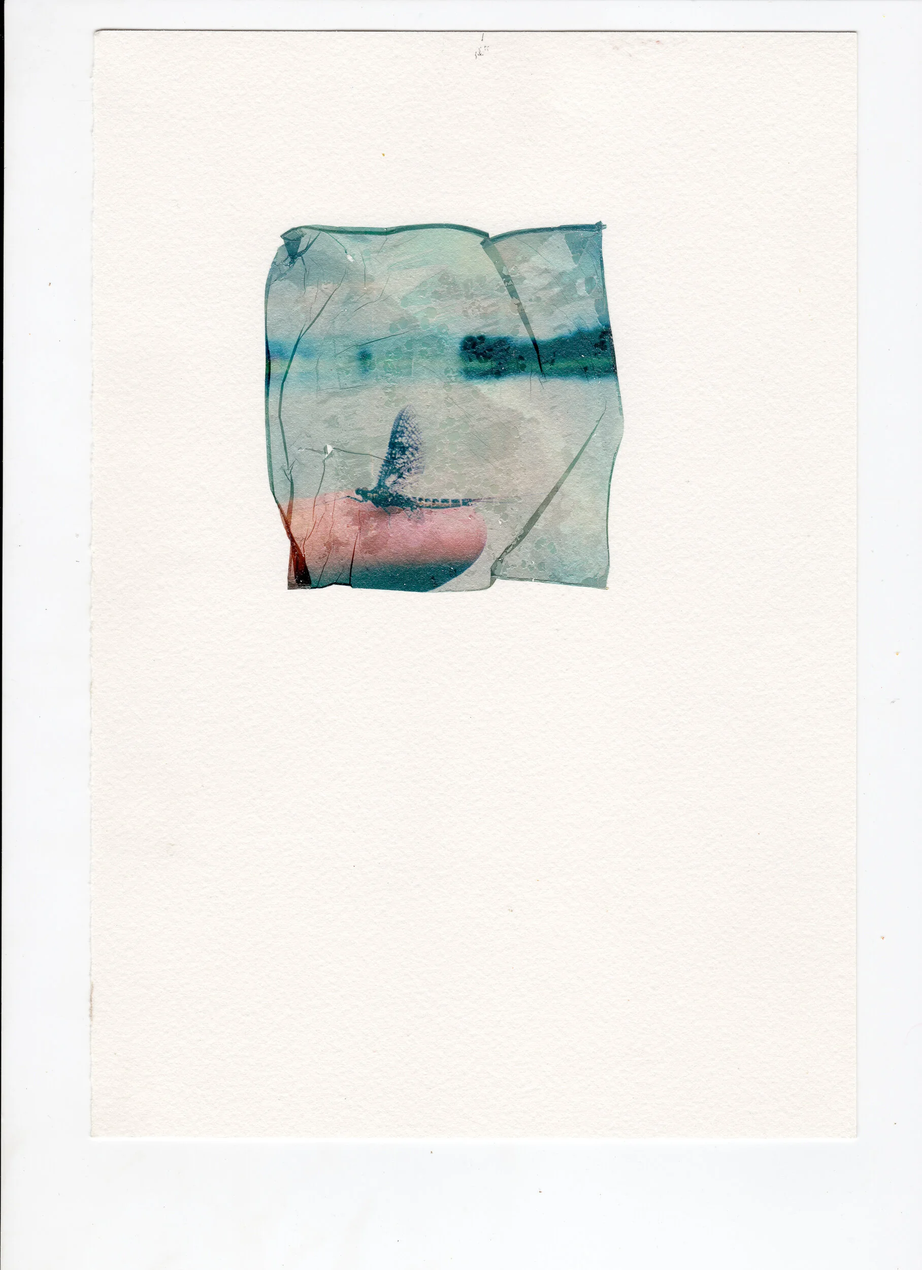1_polaroid_emulsion_Transfer_sean_Kerrick_sullivan_.jpg