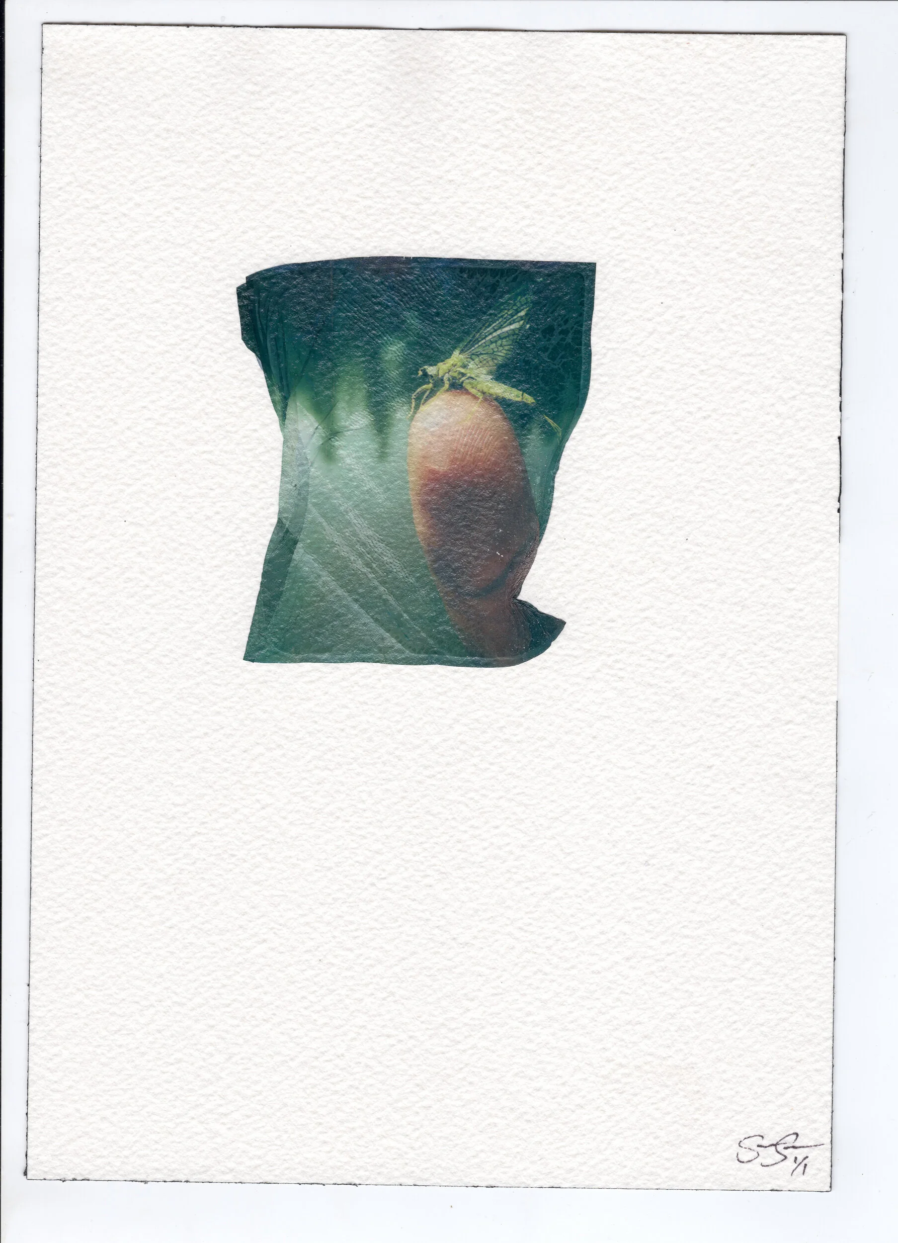 4_polaroid_emulsion_Transfer_sean_Kerrick_sullivan_.jpg