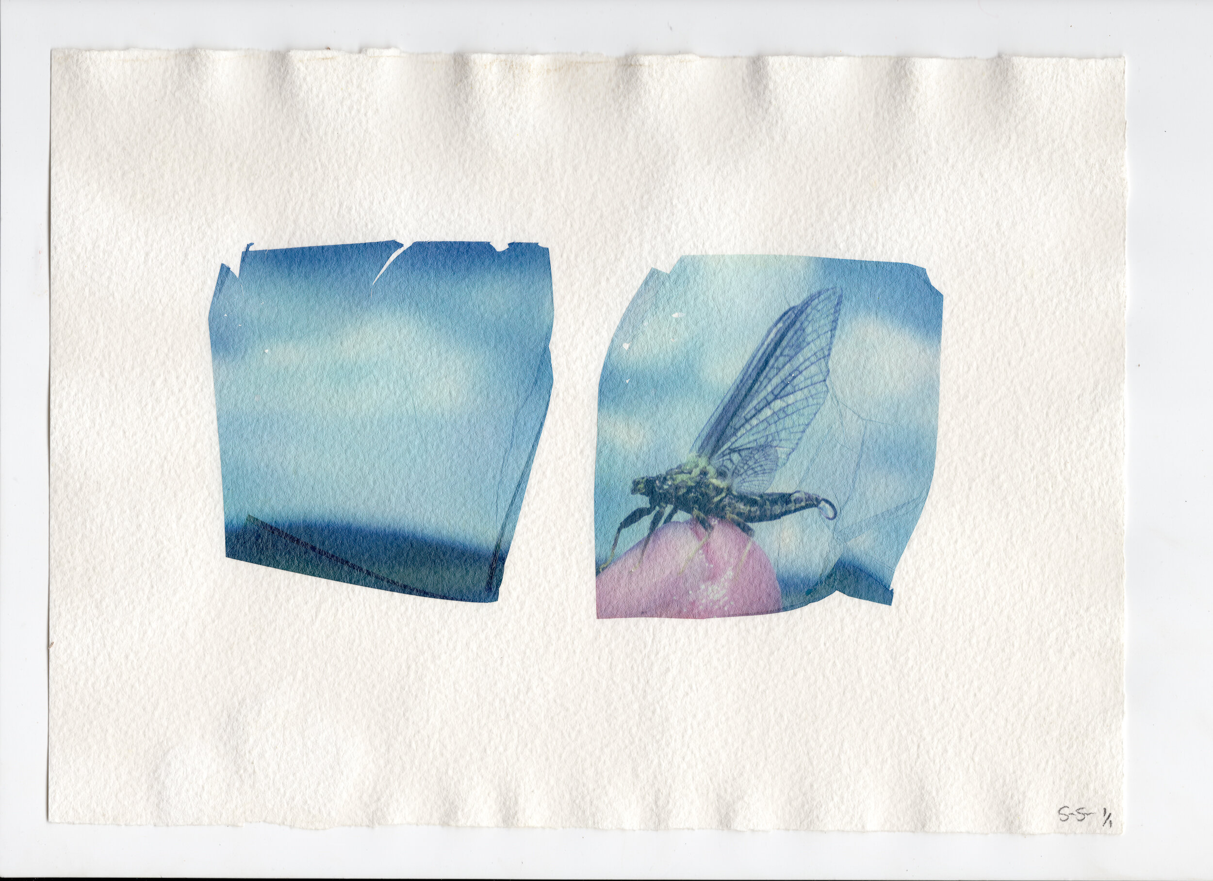 6_polaroid_emulsion_Transfer_sean_Kerrick_sullivan_.jpg